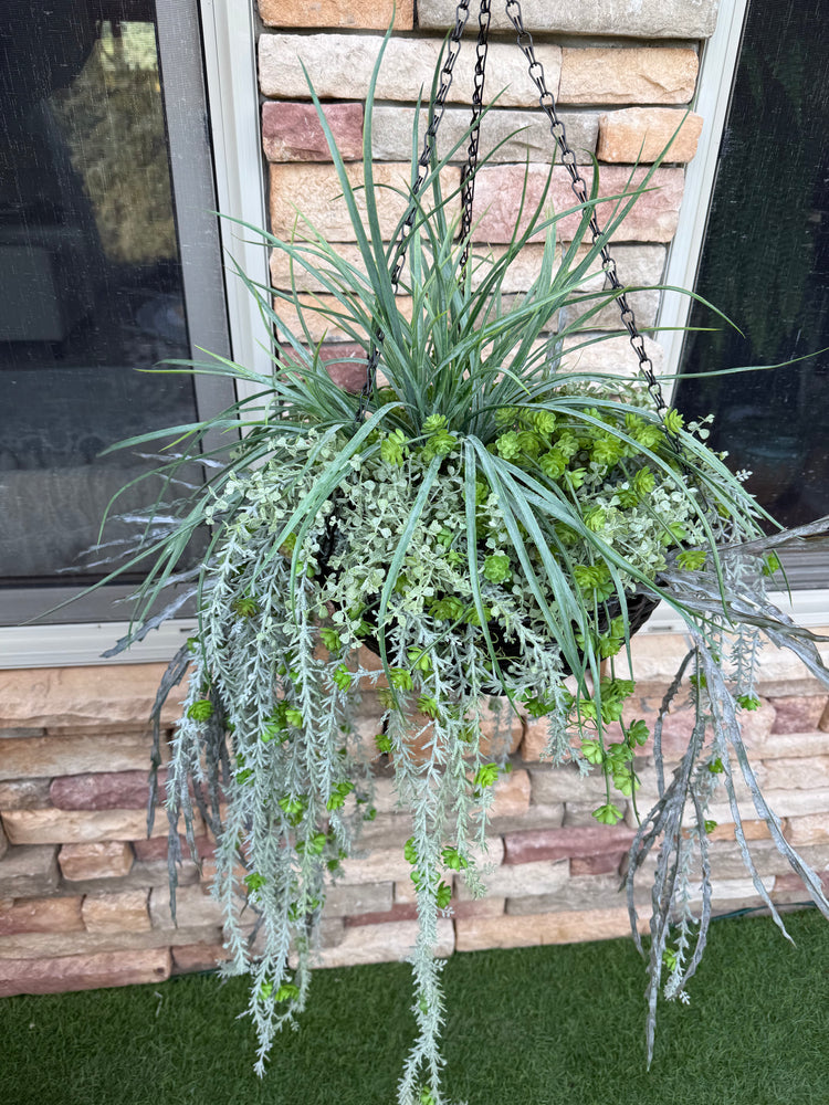 Hanging Succulent Basket