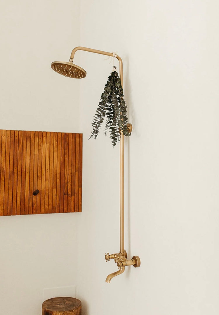 Eucalyptus Shower Steamer