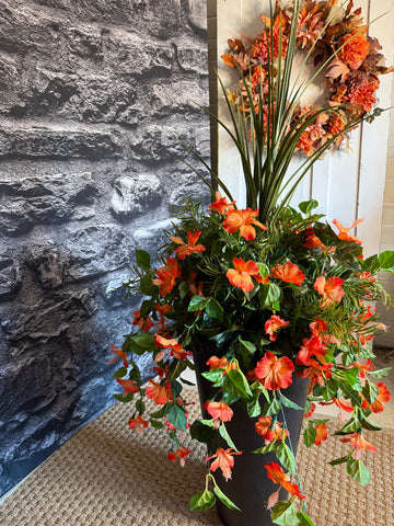 Coral Hibiscus drop in planter
