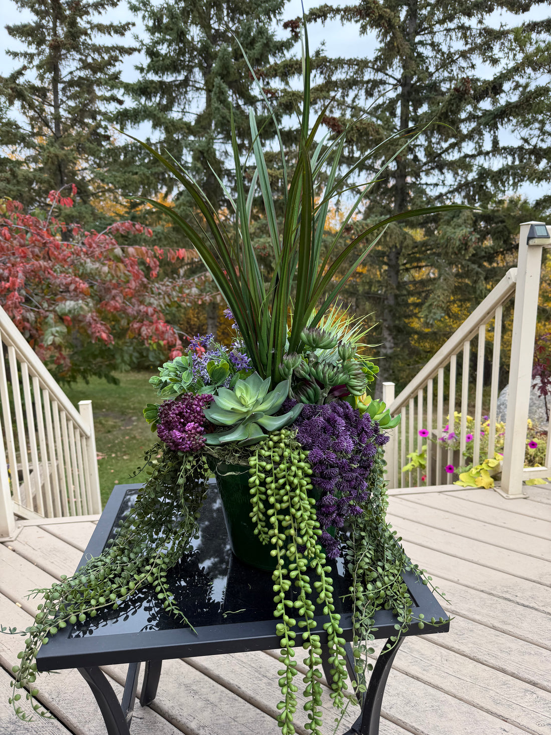 Medium Succulent Planter Insert