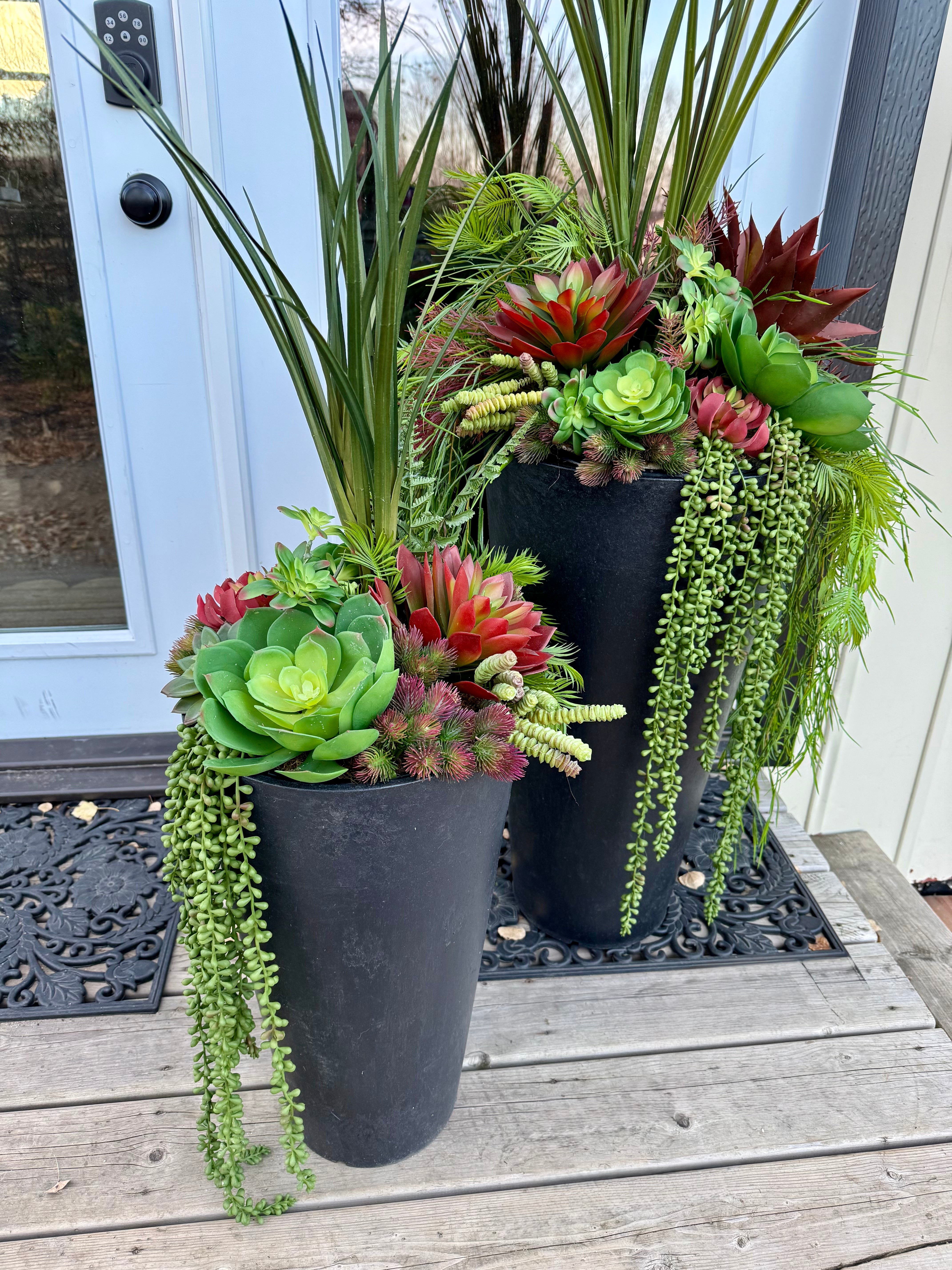 Set Of Two Succulent Inserts