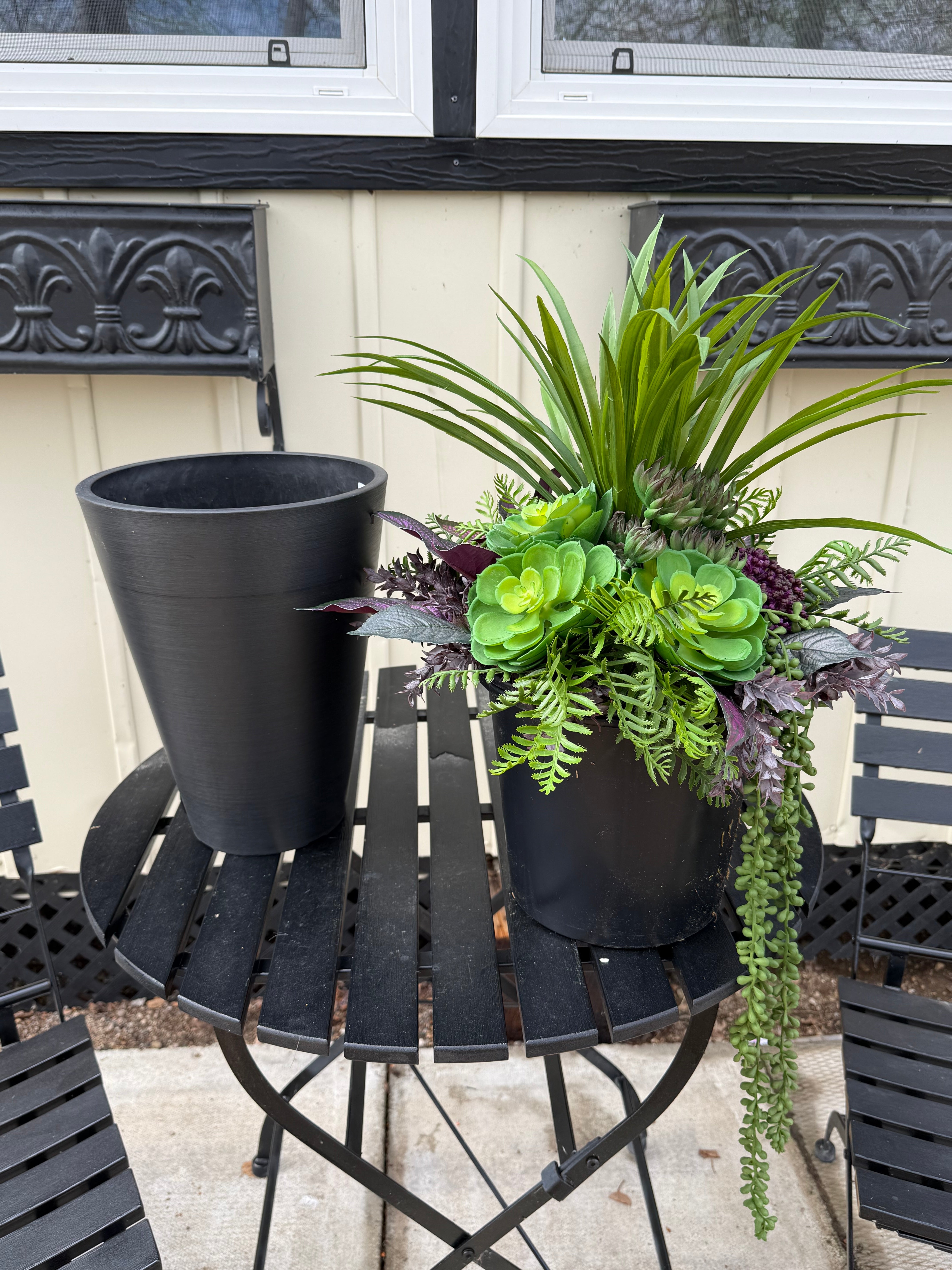 Small Succulent Insert | Optional Black Planter