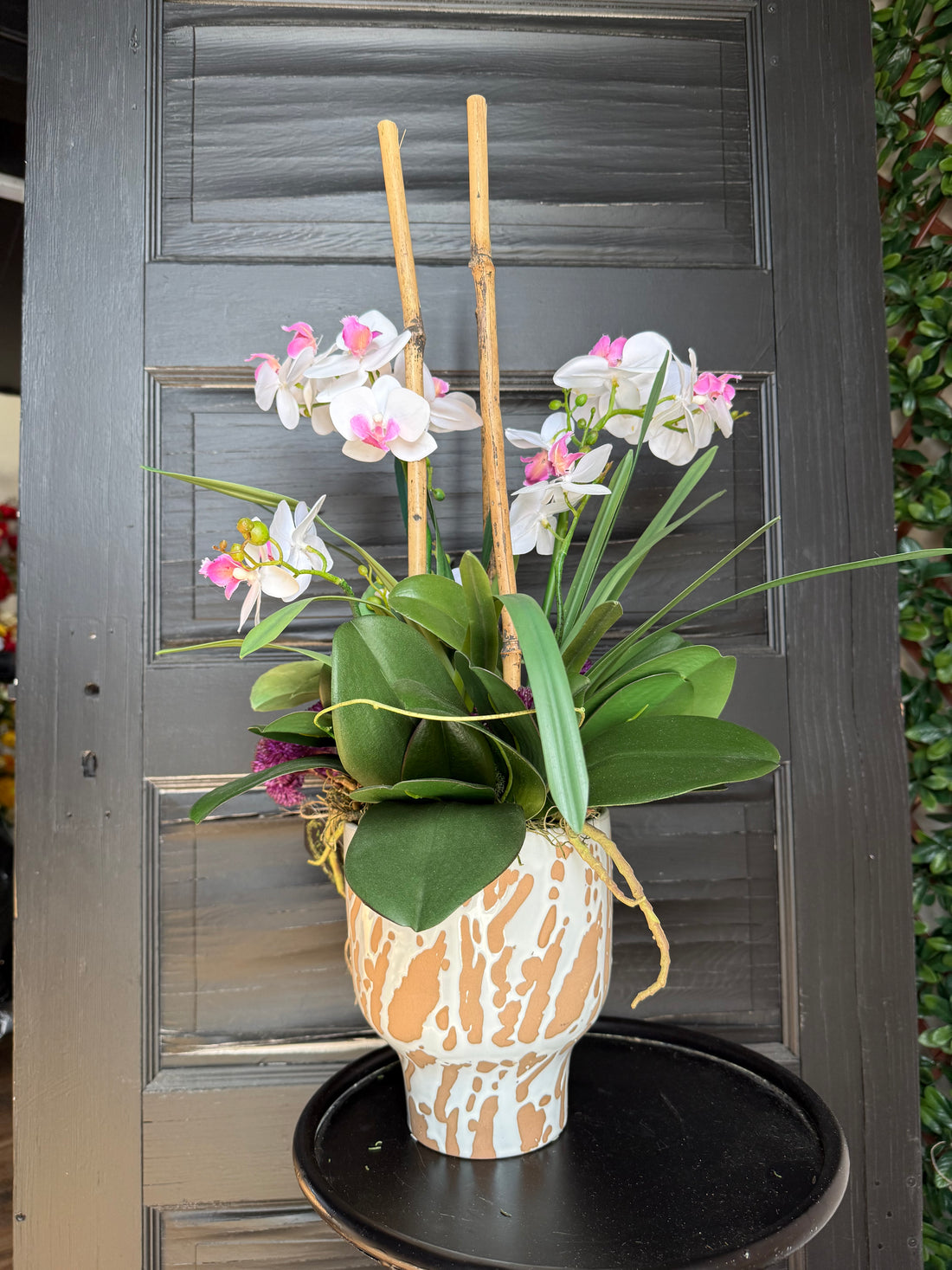 Tropical Orchid Arrangement