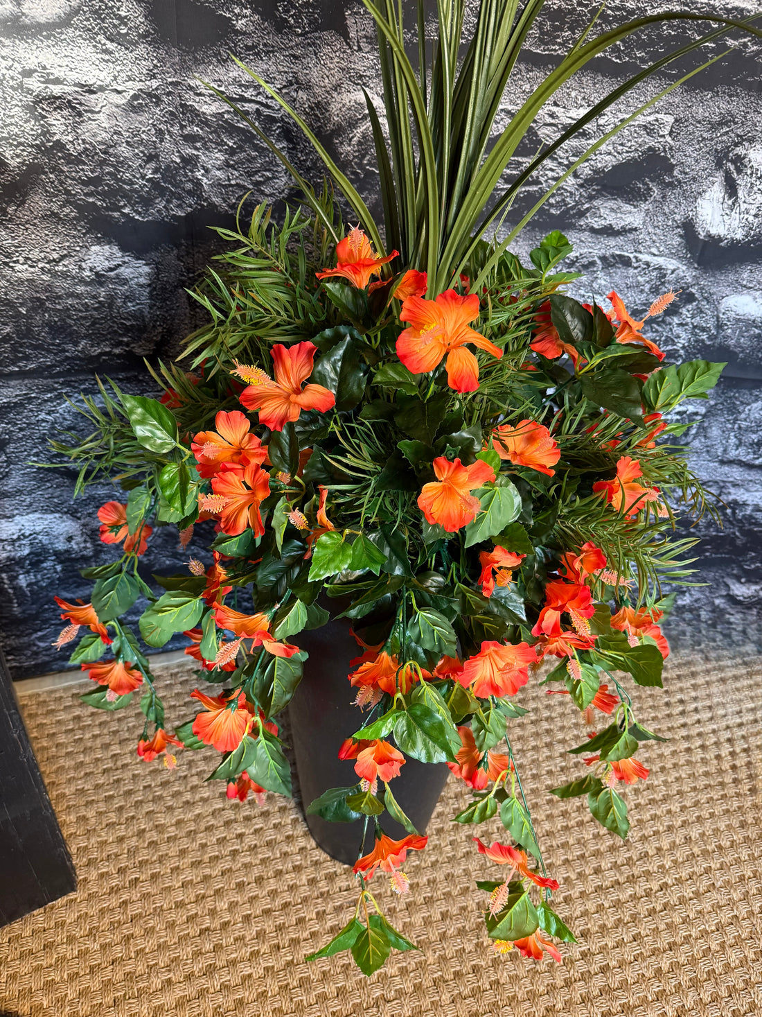 Coral Hibiscus drop in planter