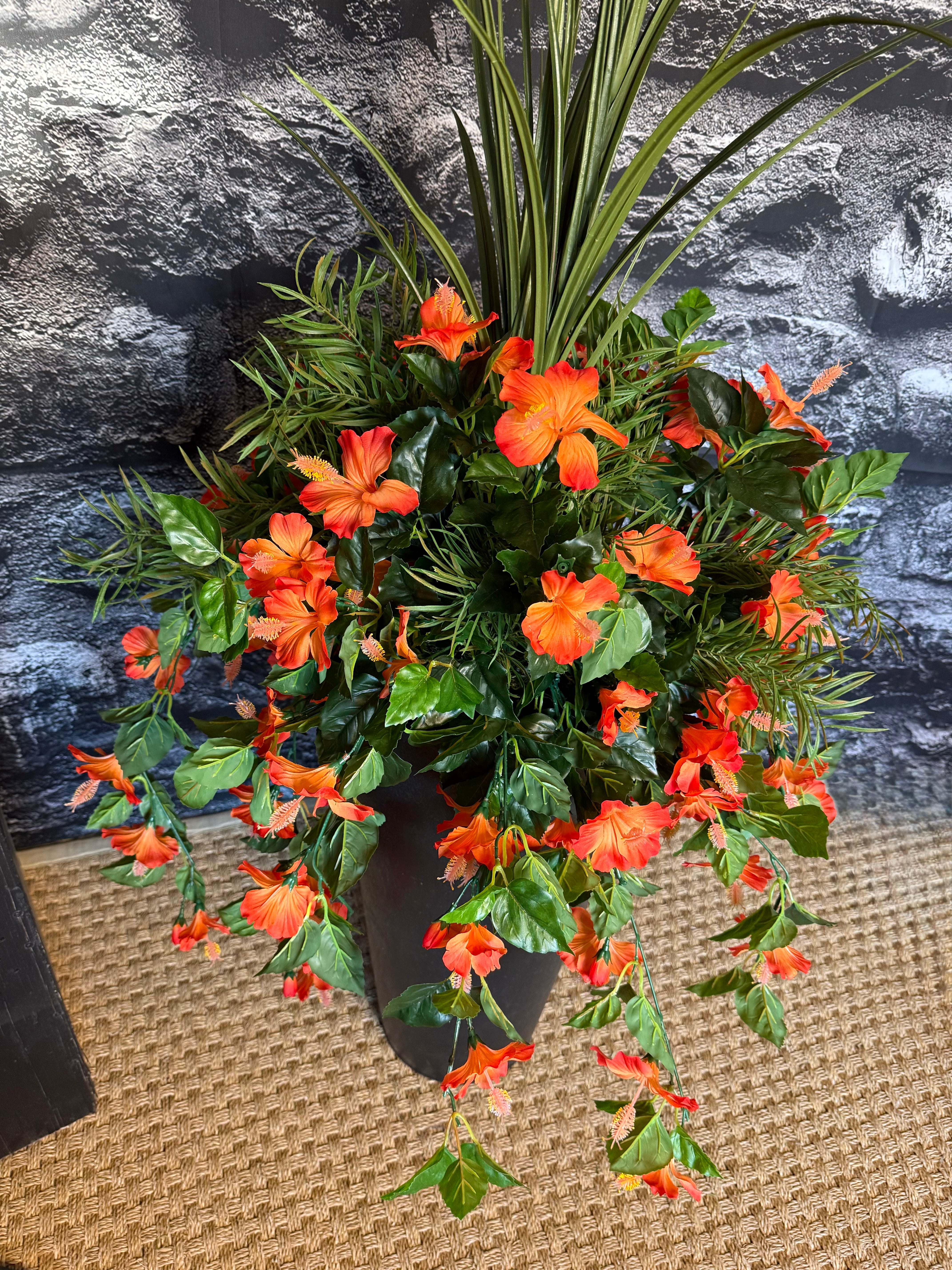 Coral Hibiscus drop in planter