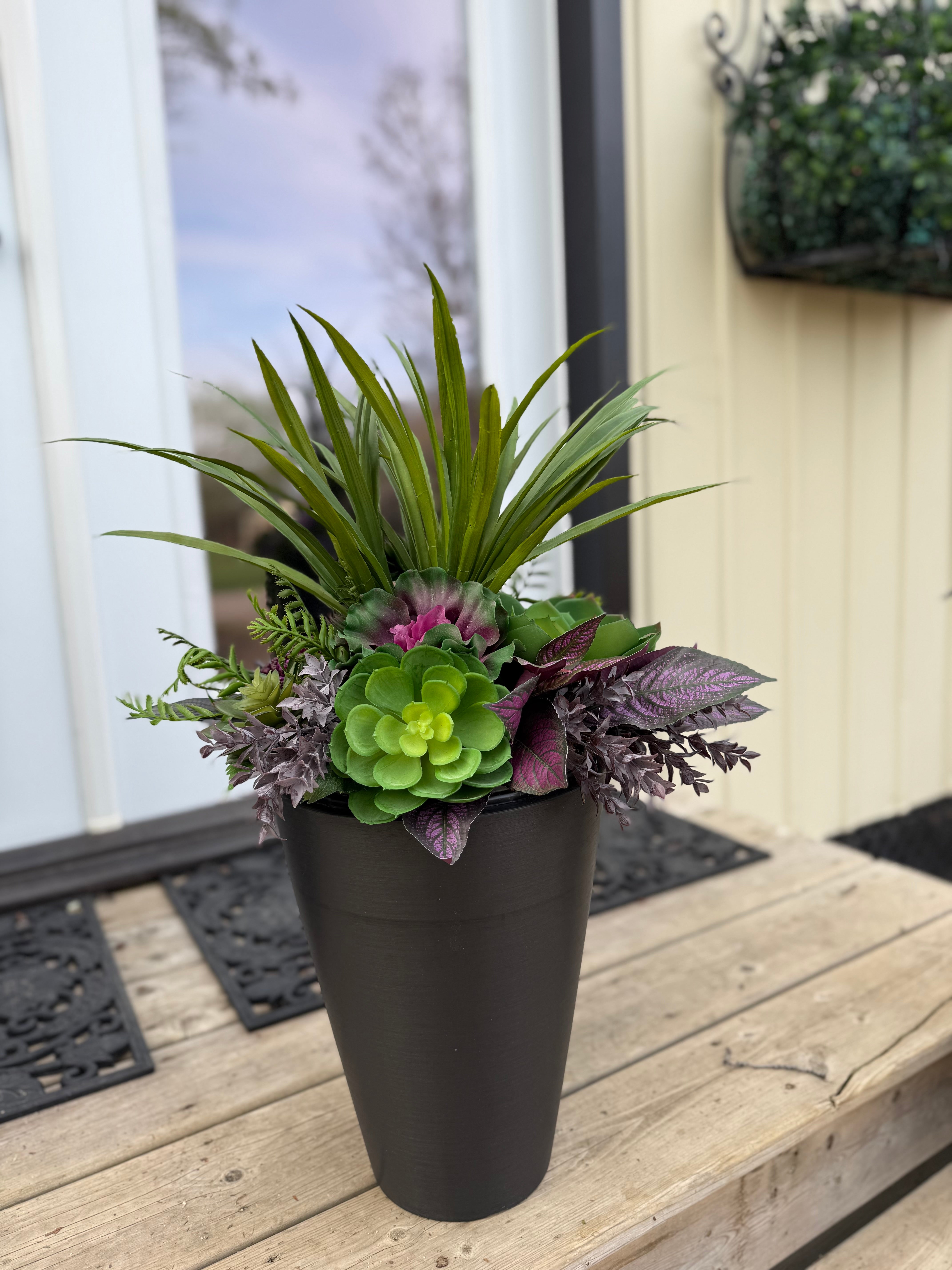 Small Succulent Insert | Optional Black Planter