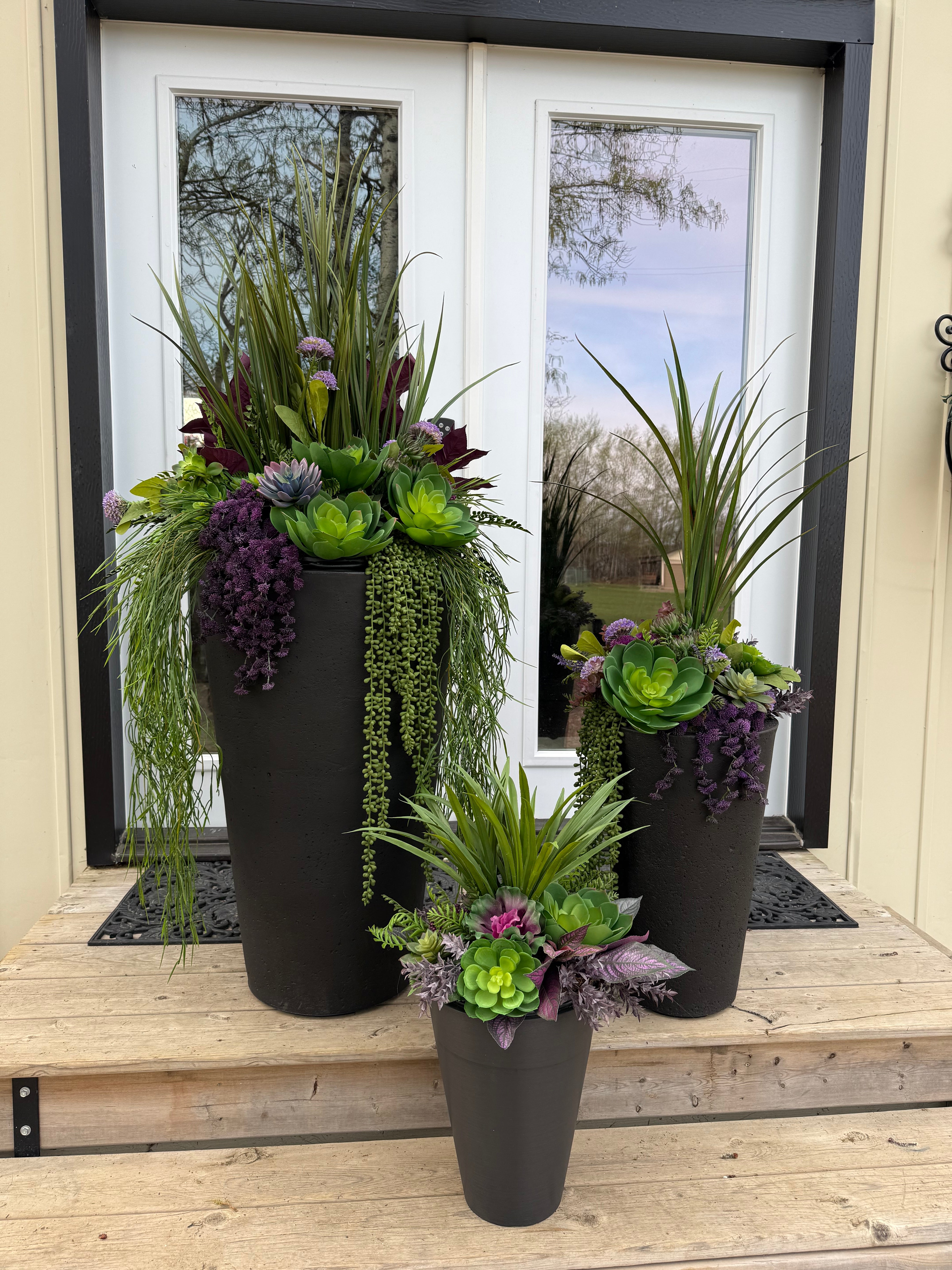 Small Succulent Insert | Optional Black Planter