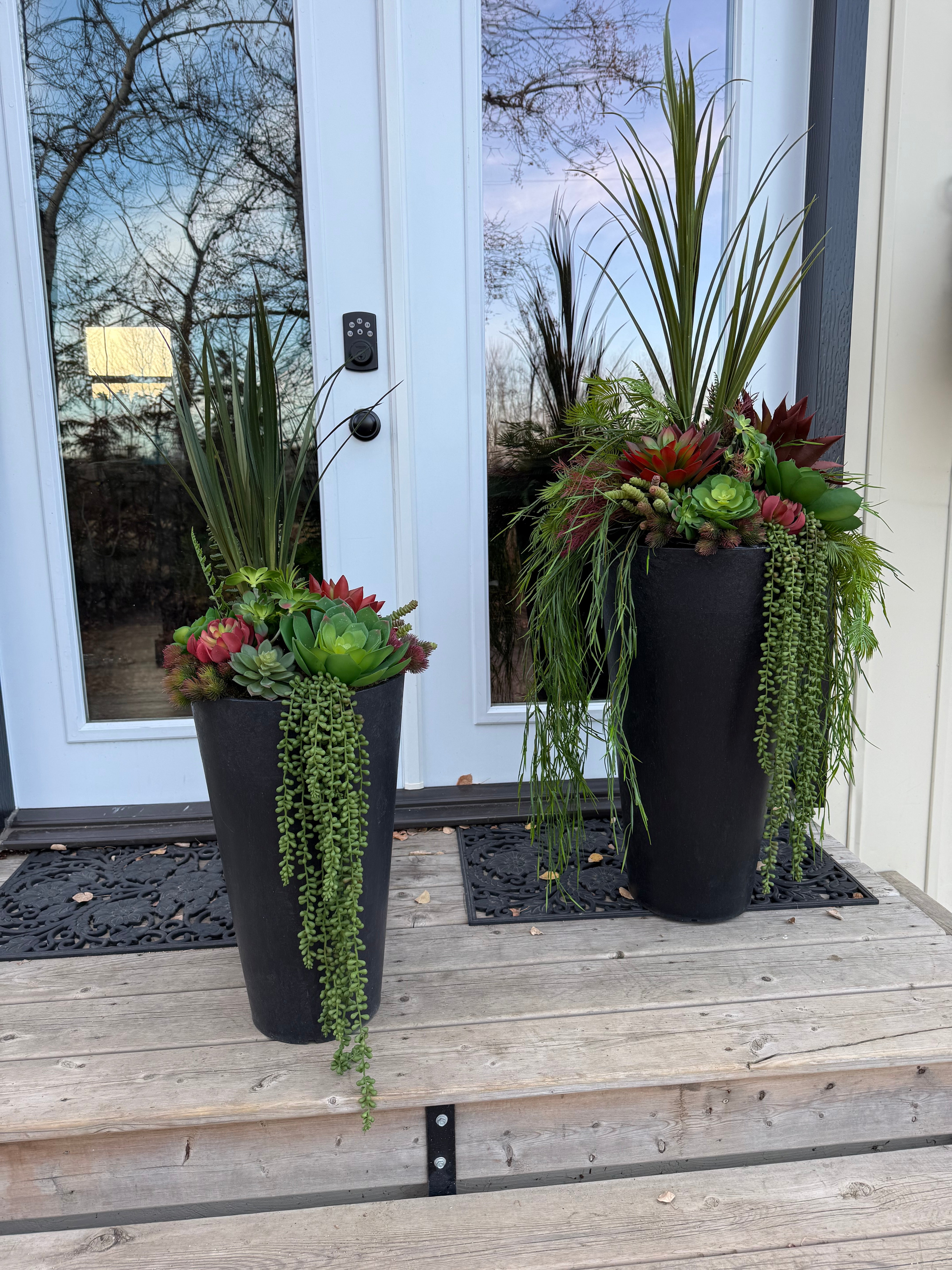 Set Of Two Succulent Inserts