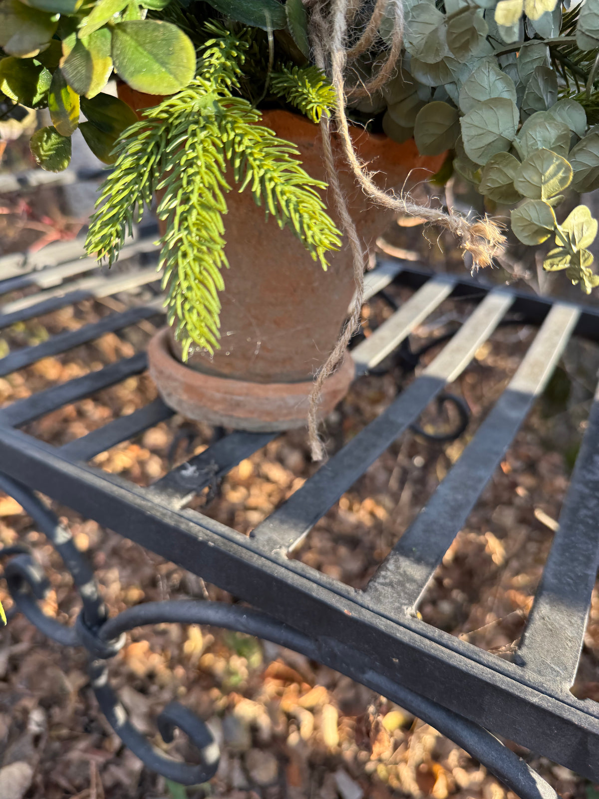 Terracotta Pot Evergreen Arrangement