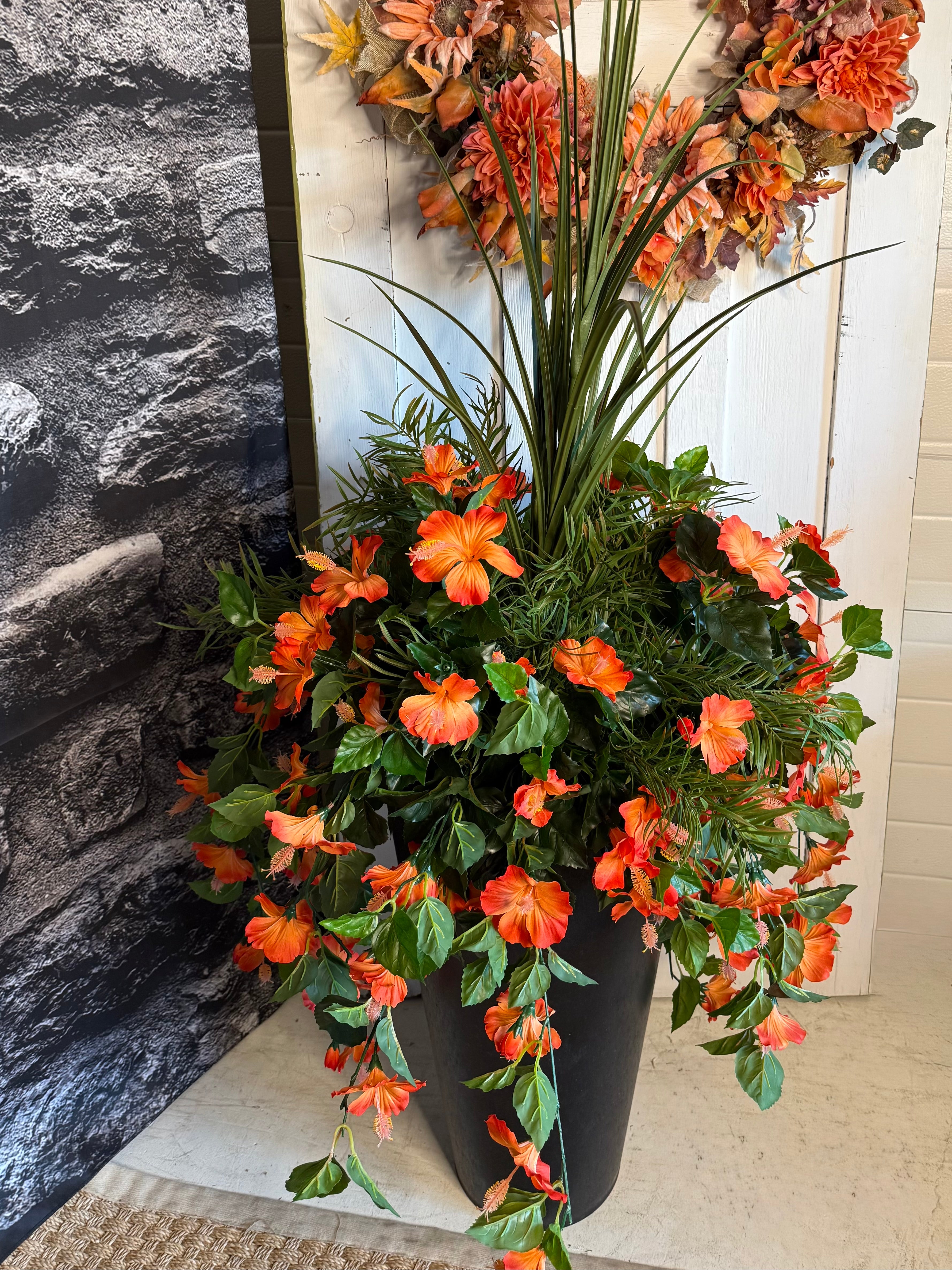 Coral Hibiscus drop in planter