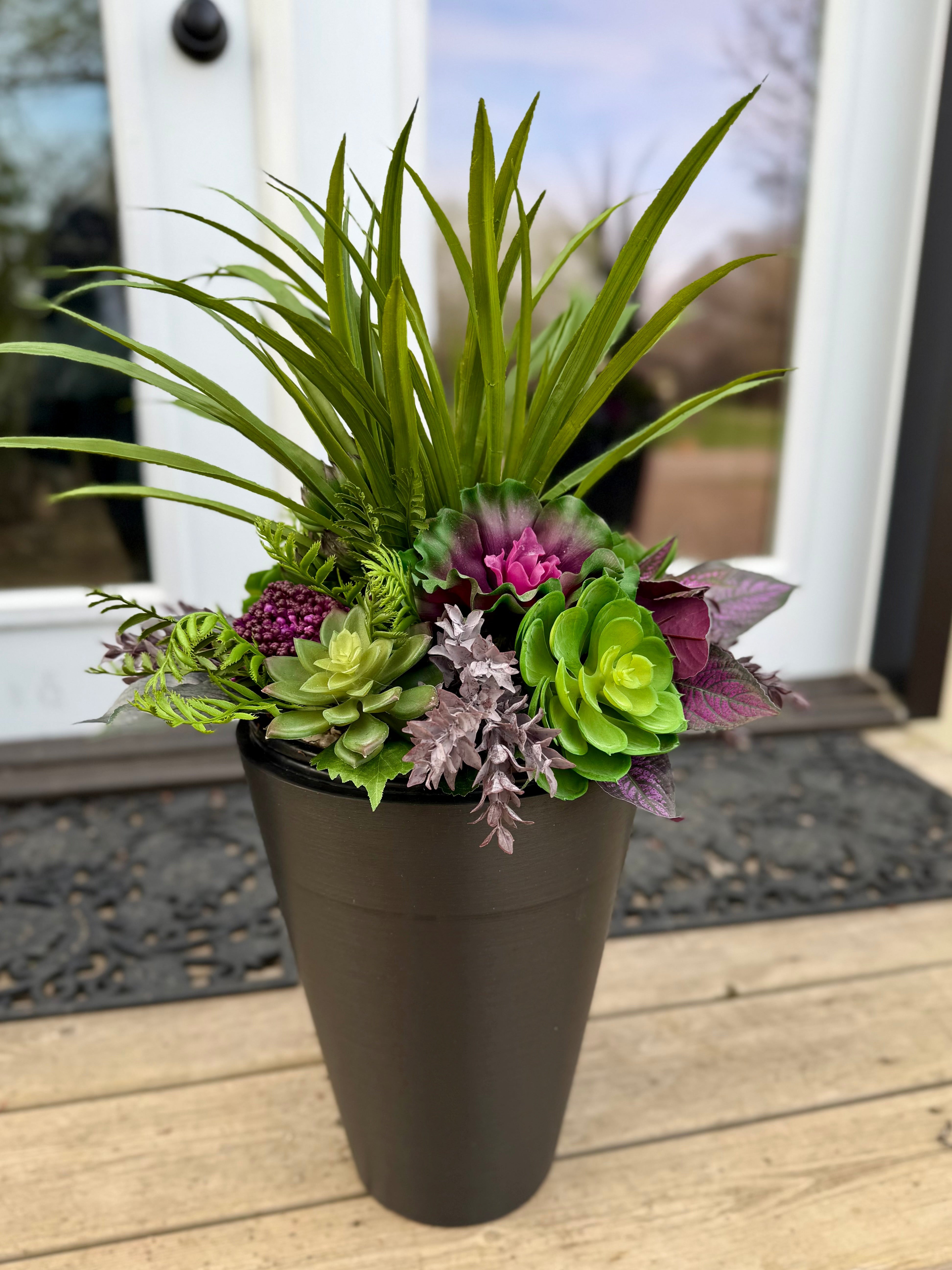 Small Succulent Insert | Optional Black Planter