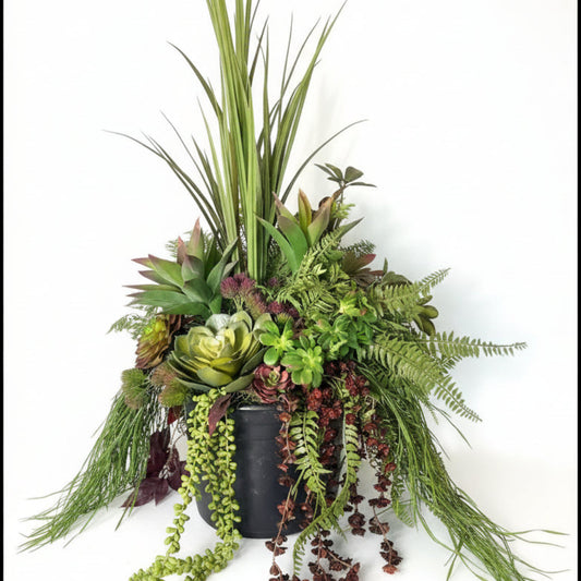 Decorative arrangement of various green plants in a black pot on a white background