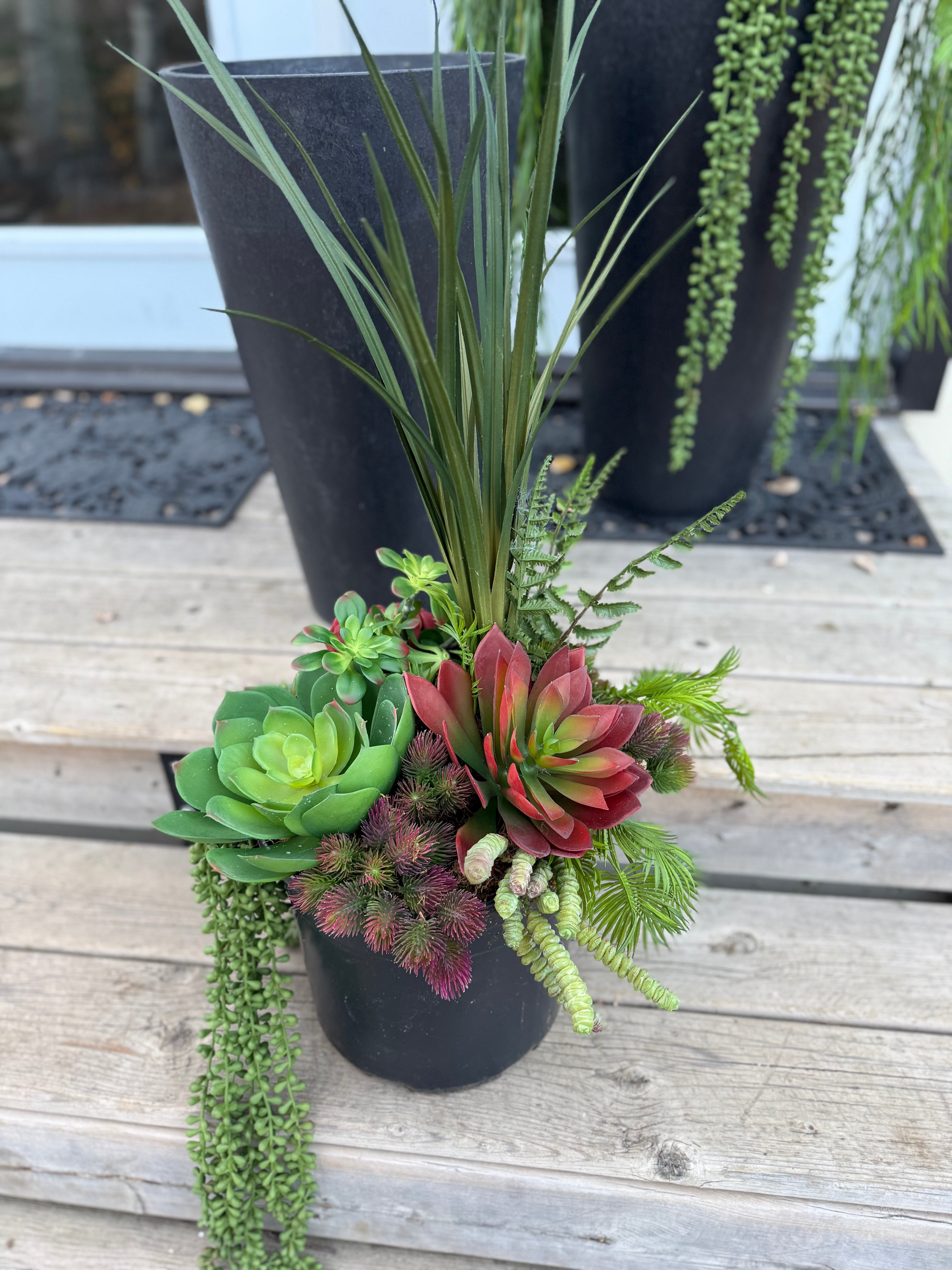 Set Of Two Succulent Inserts