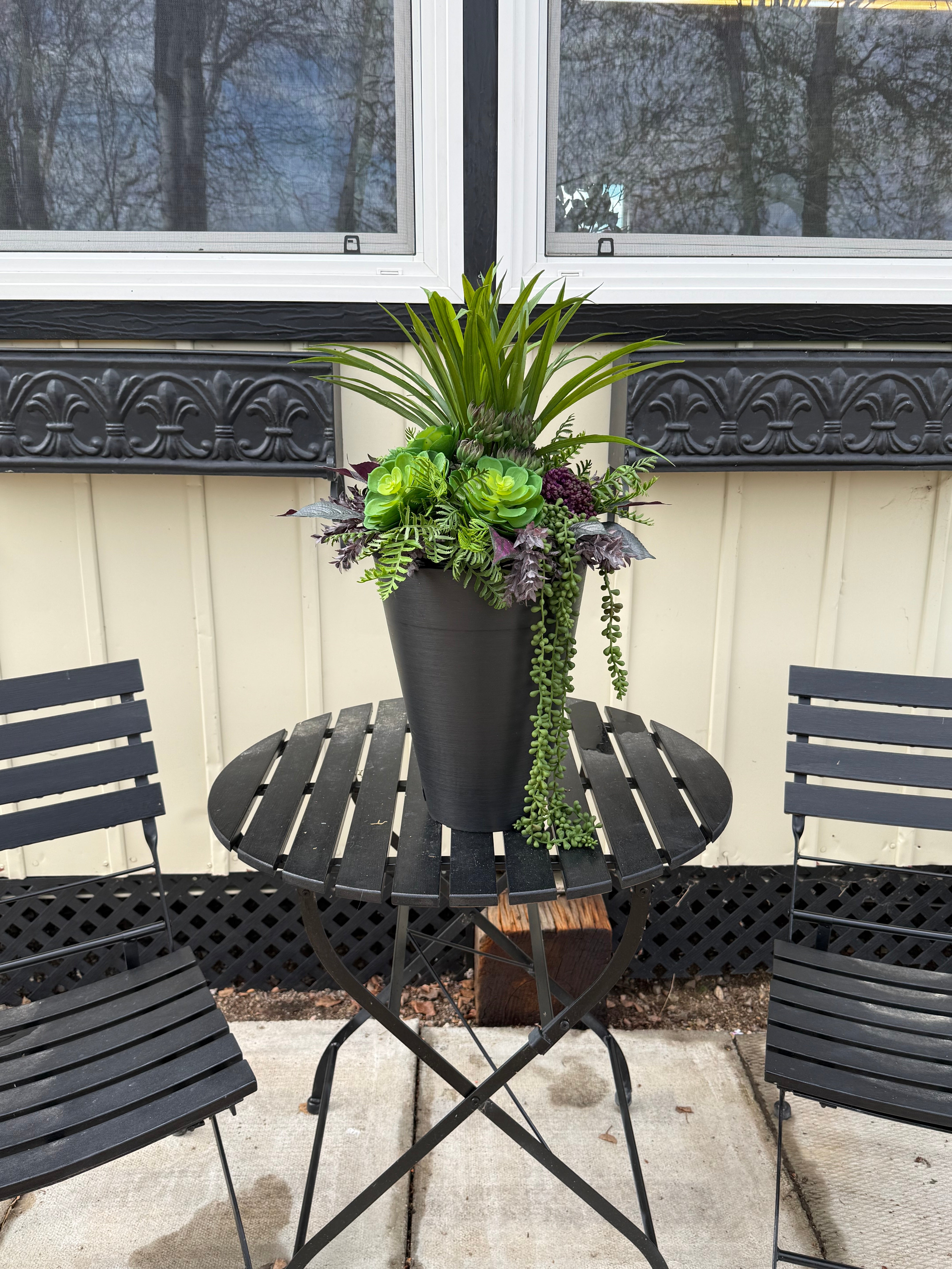 Small Succulent Insert | Optional Black Planter
