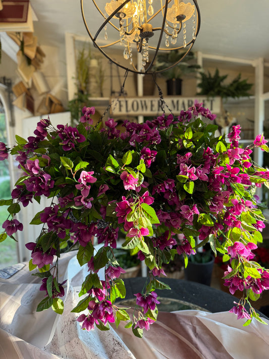 Hanging Bouganvillia Basket