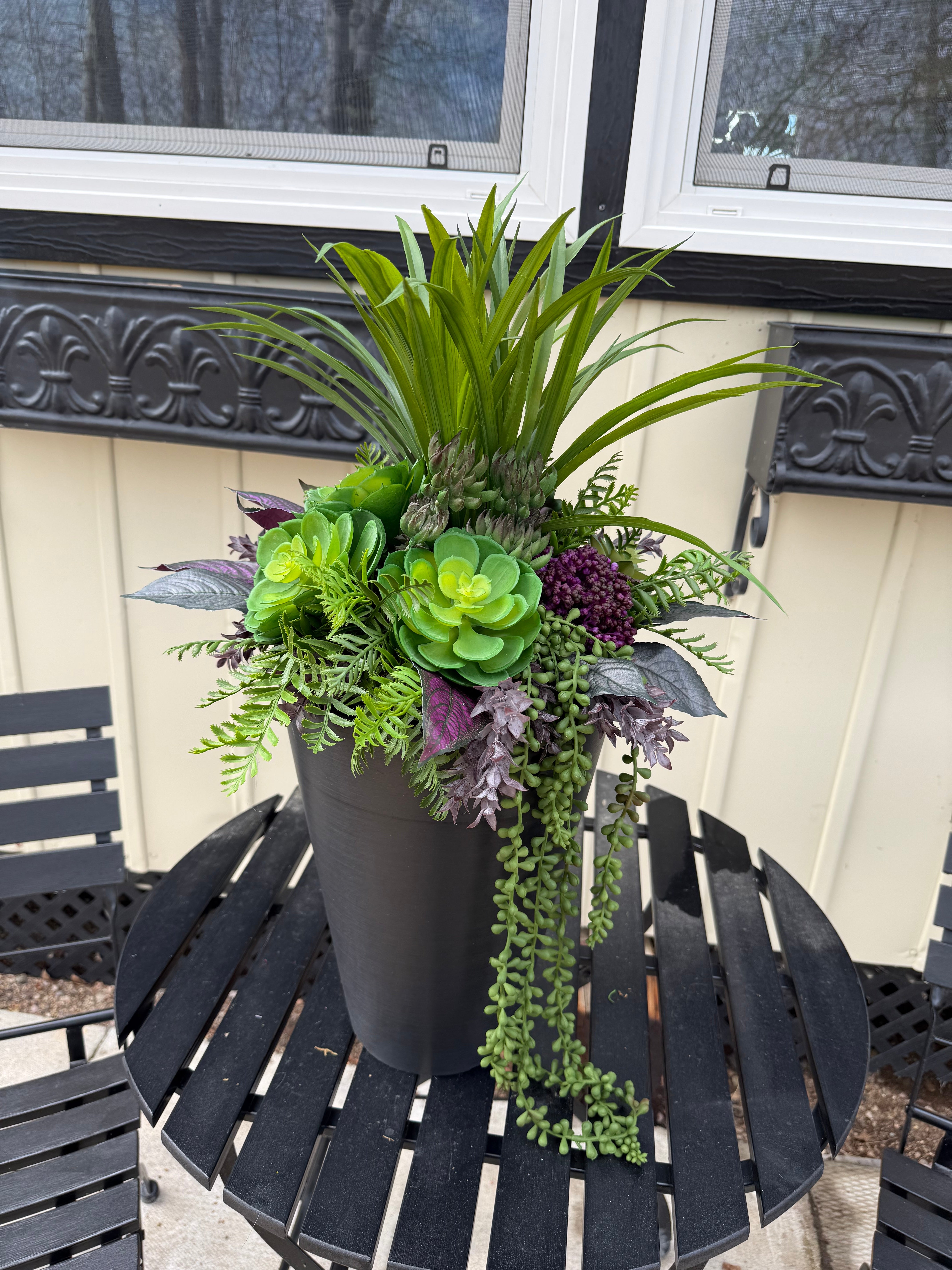Small Succulent Insert | Optional Black Planter