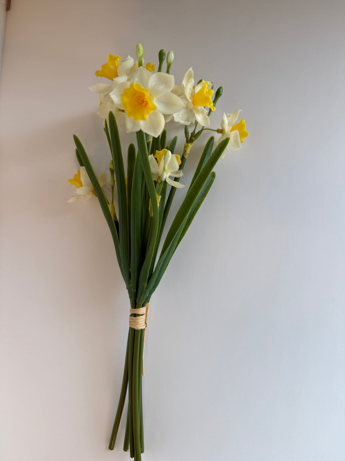 12” Fresh Touch Yellow Paper white Bundle