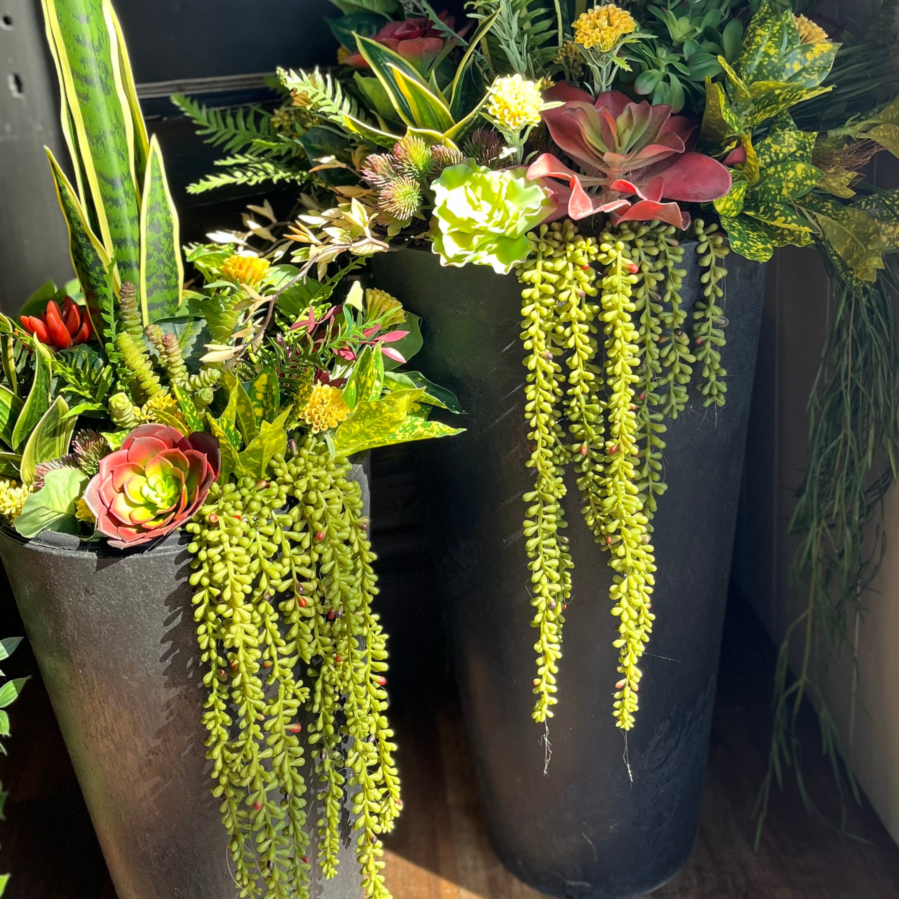 Set Of Two Tropical Inserts