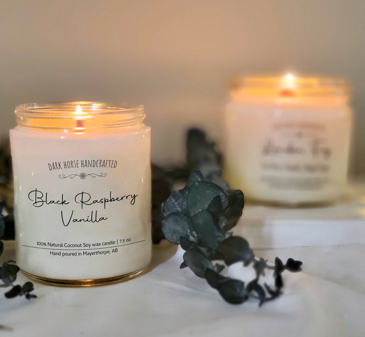 Black Raspberry Vanilla soy candle lit beside a dusty eucalyptus sprig