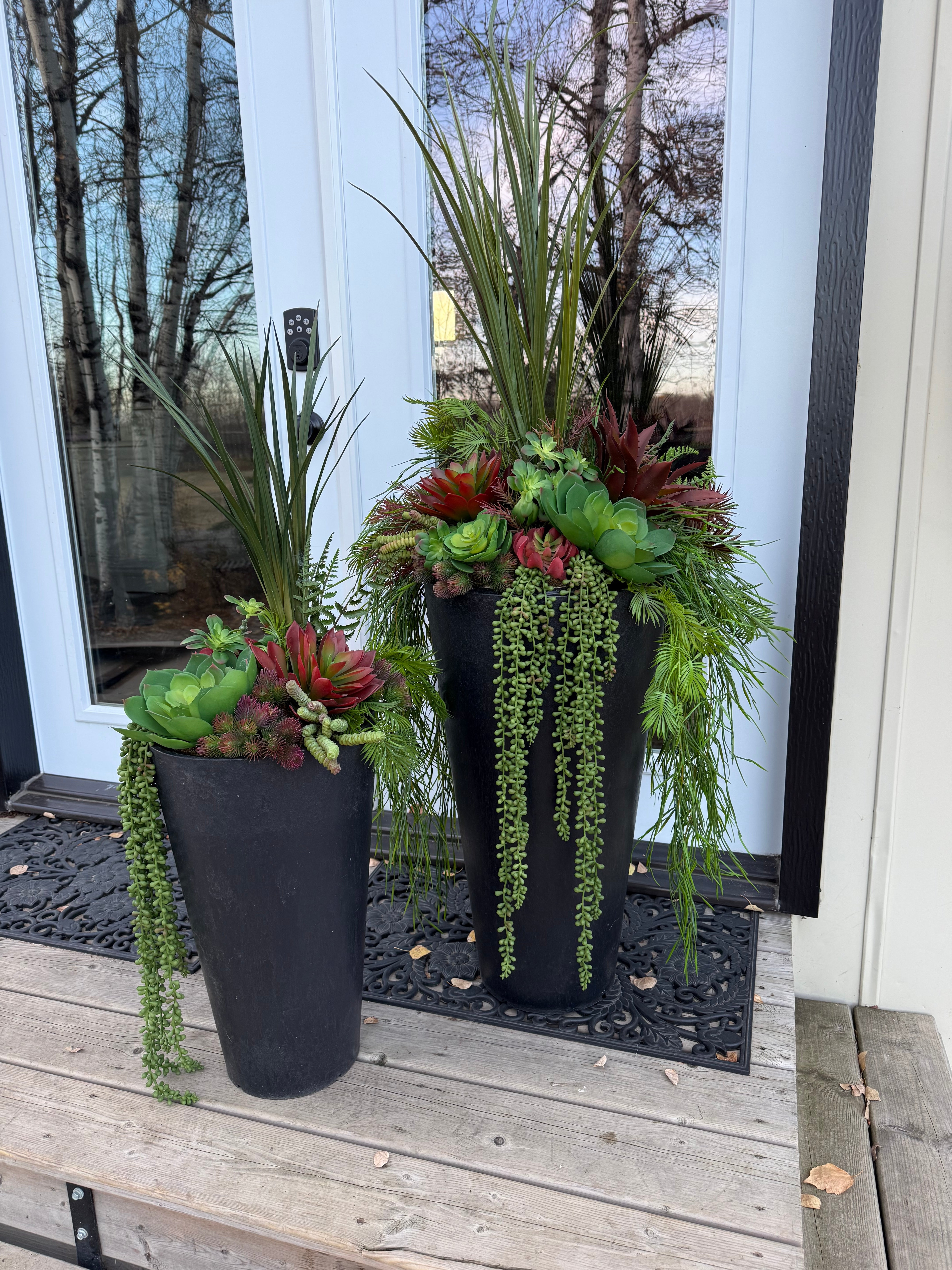Set Of Two Succulent Inserts