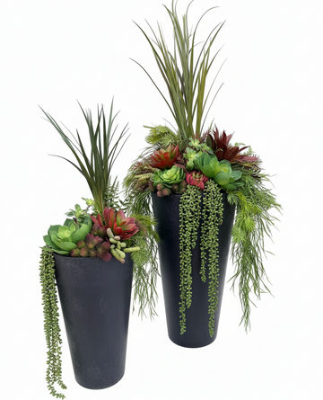 Set Of Two Succulent Inserts
