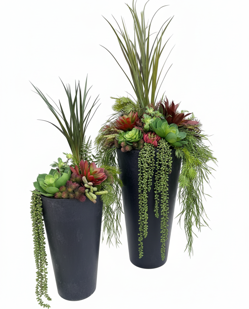 Set Of Two Succulent Inserts
