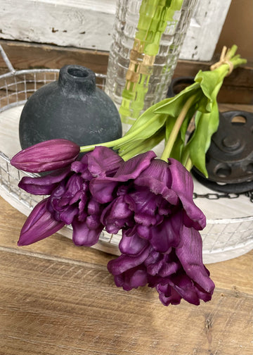 Purple Ruffle 18” Fresh Touch Tulip Bundle