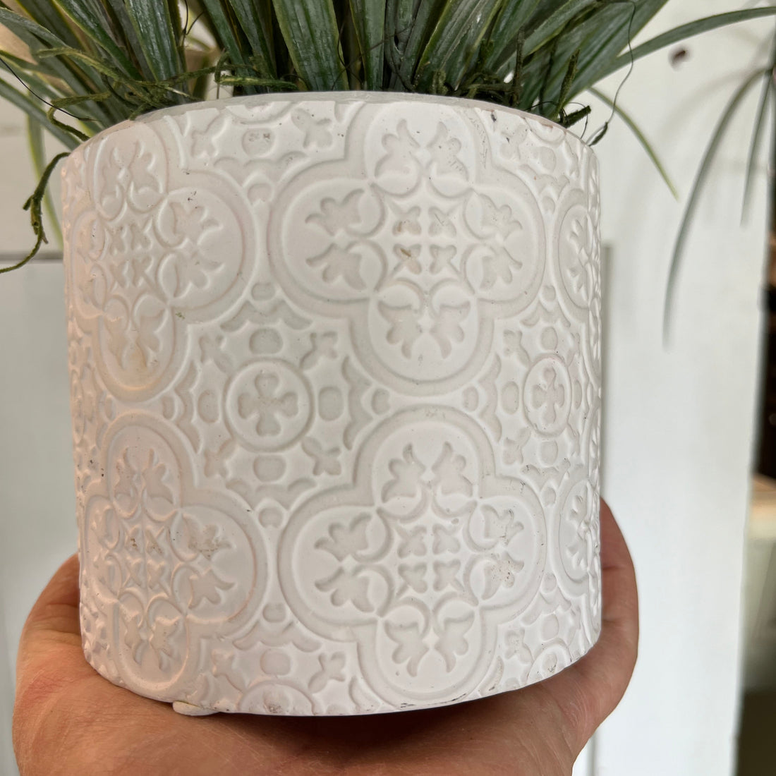 A hand holding a small round white ceramic container with artificial beach grass arranged in it.
