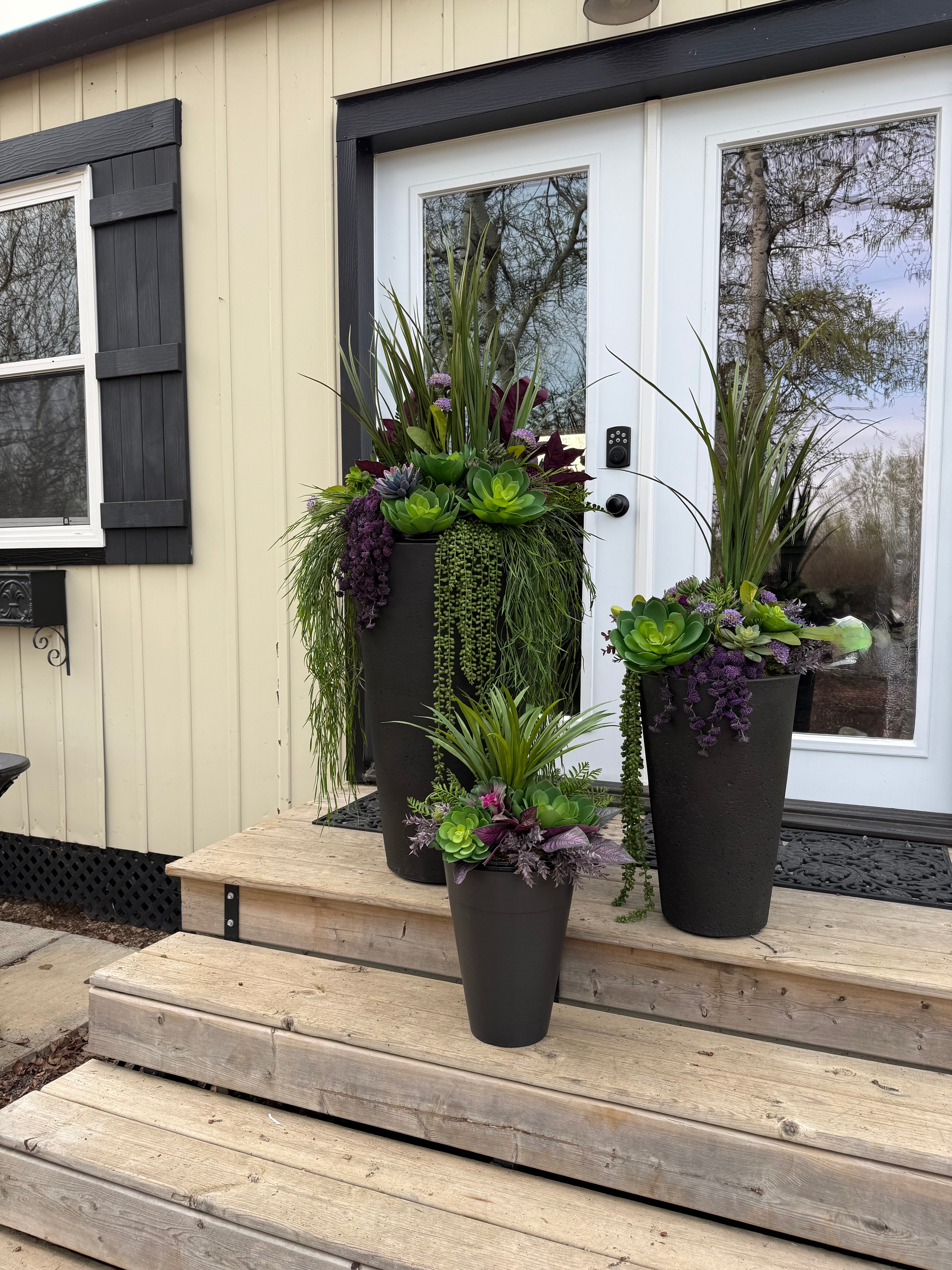 Small Succulent Insert | Optional Black Planter