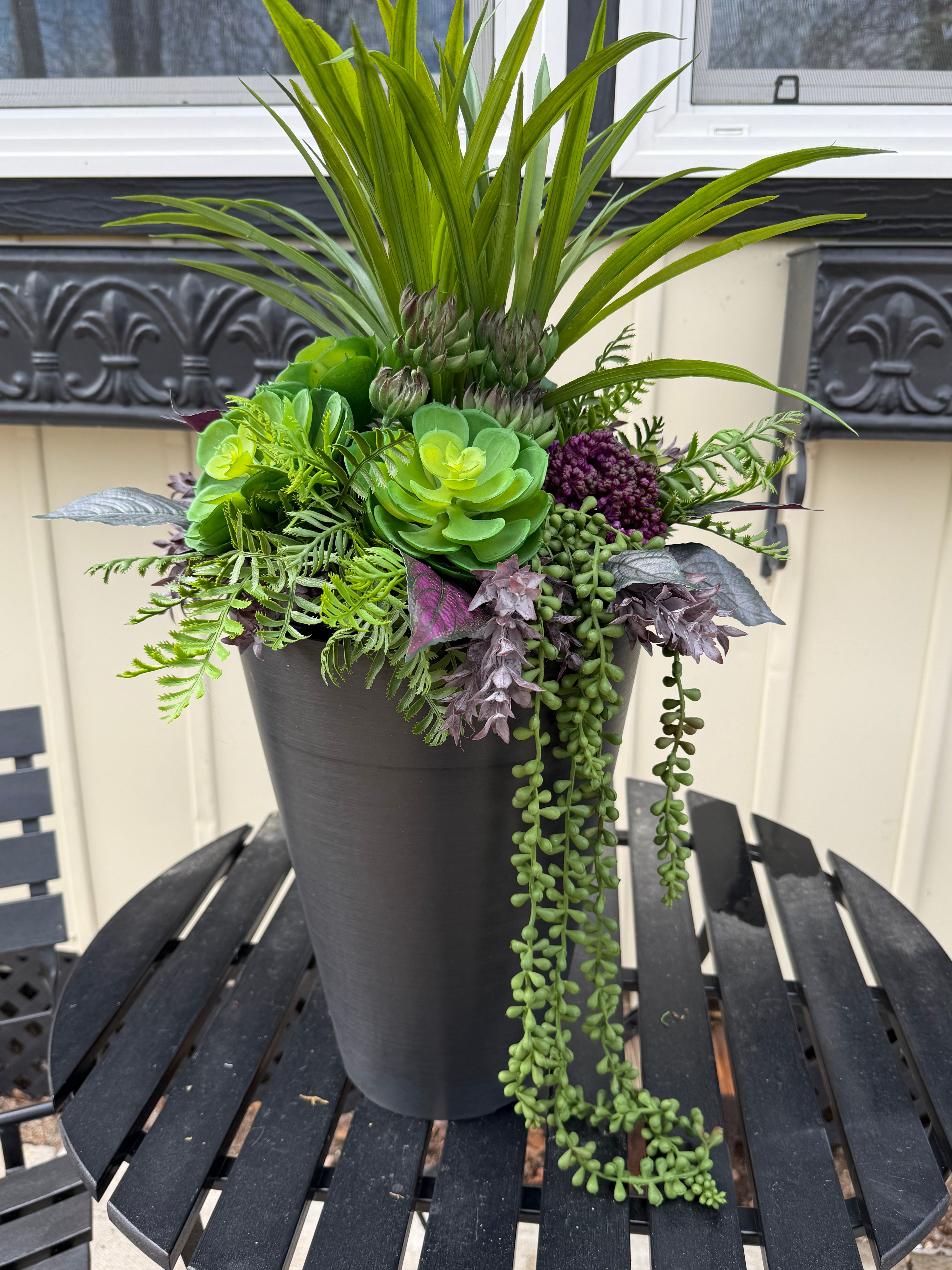 Small Succulent Insert | Optional Black Planter
