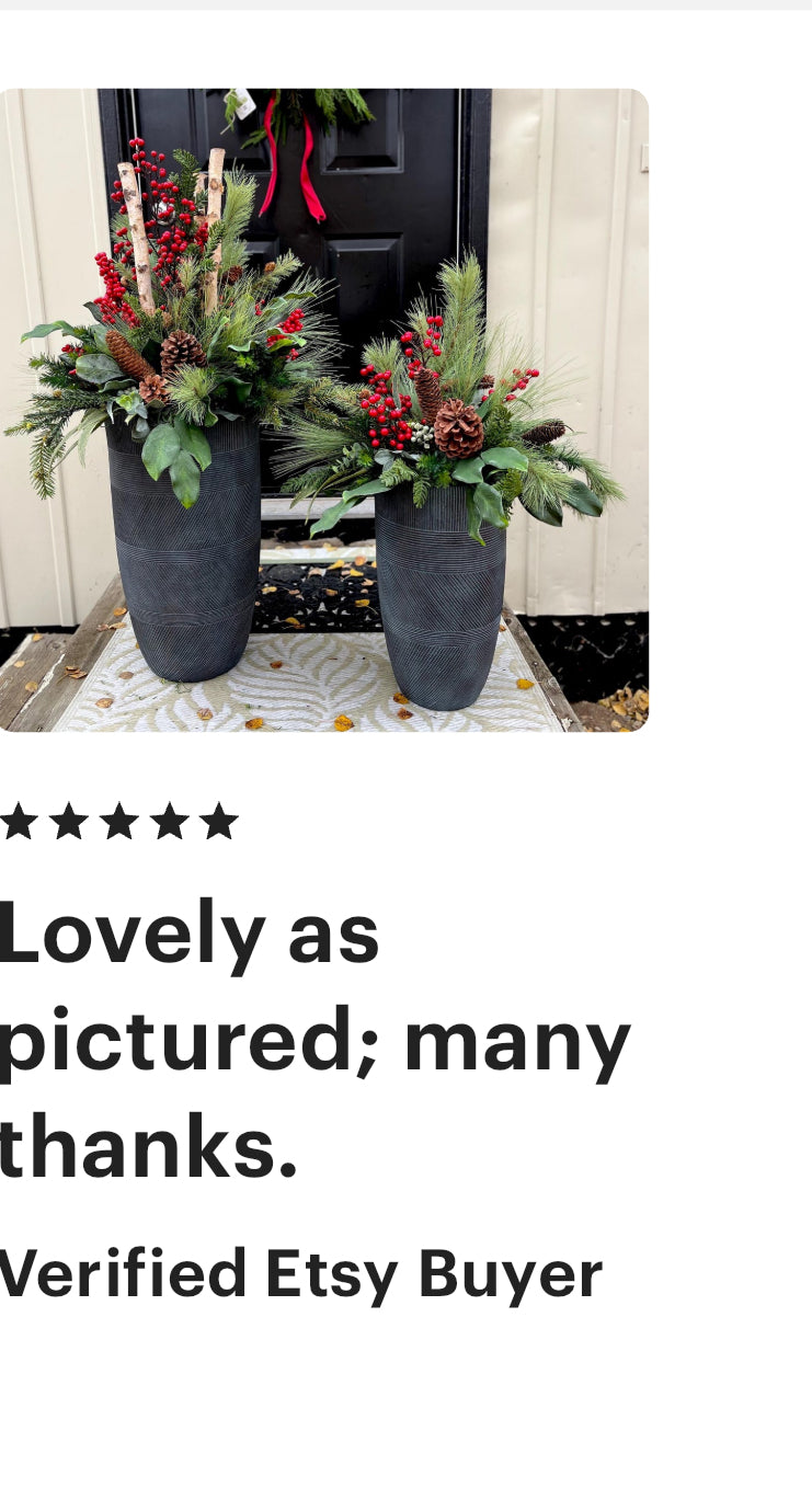 Set of two large winterberry planter inserts