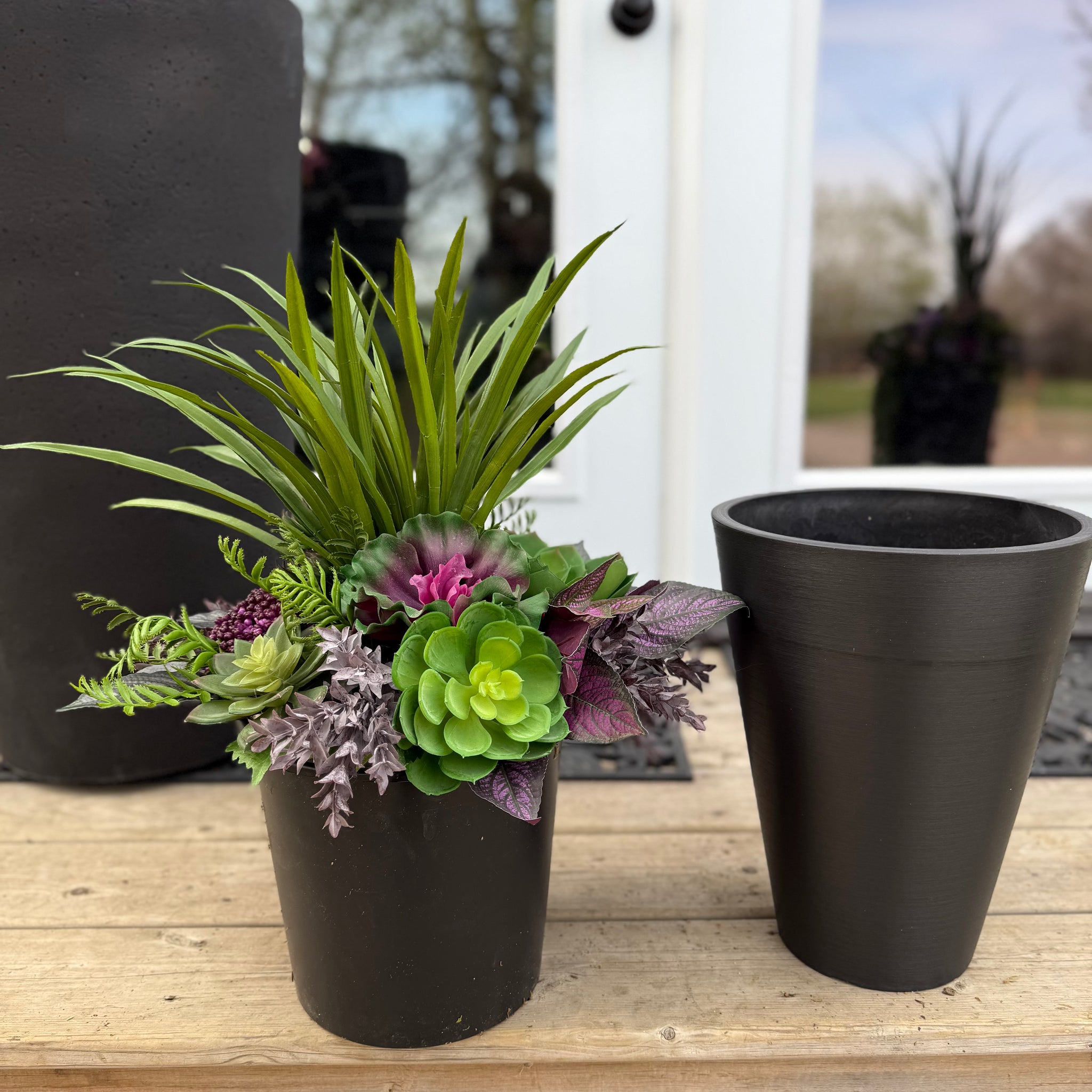 succulents in black vase Small Succulent Insert