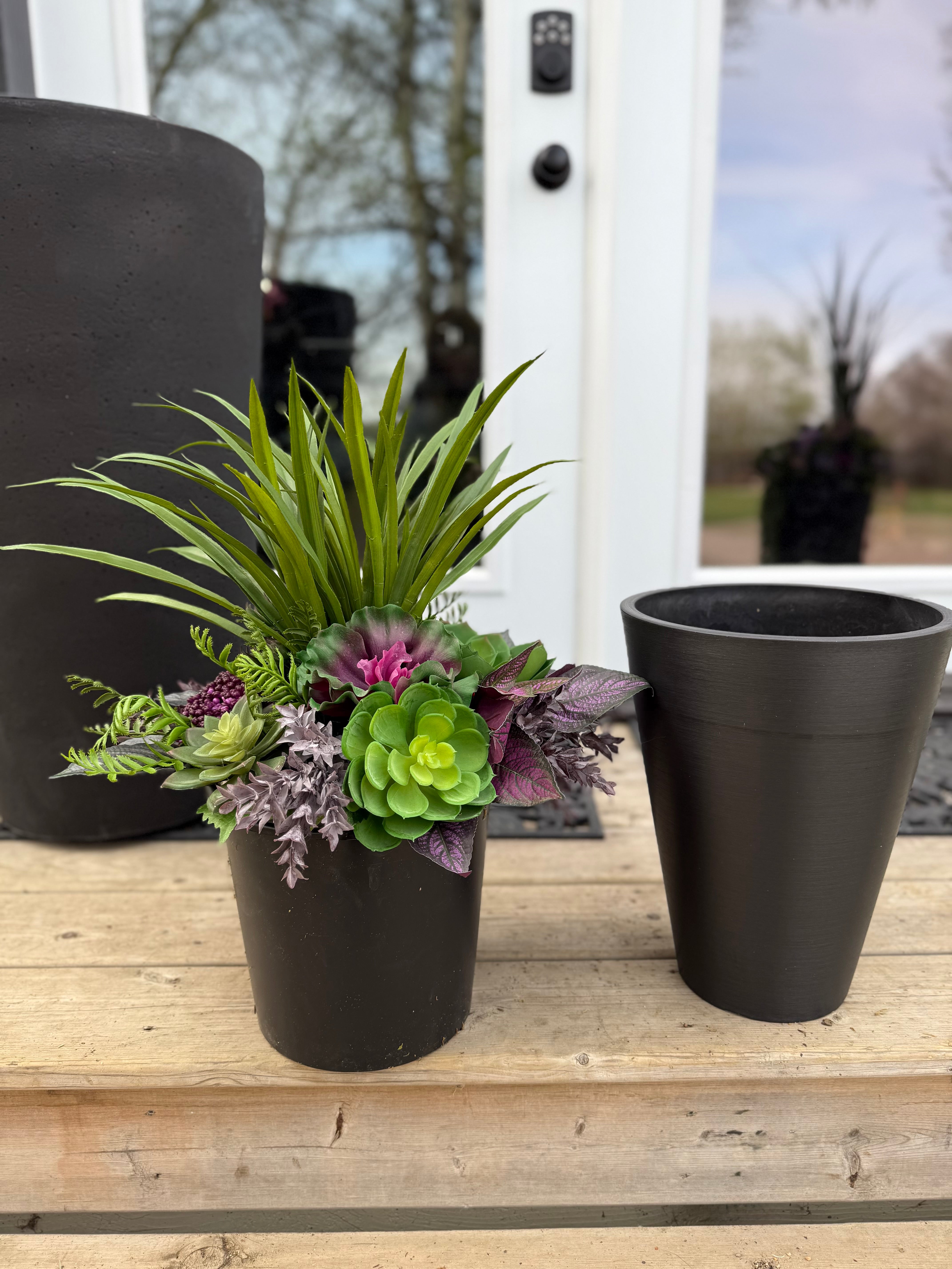 Small Succulent Insert | Optional Black Planter