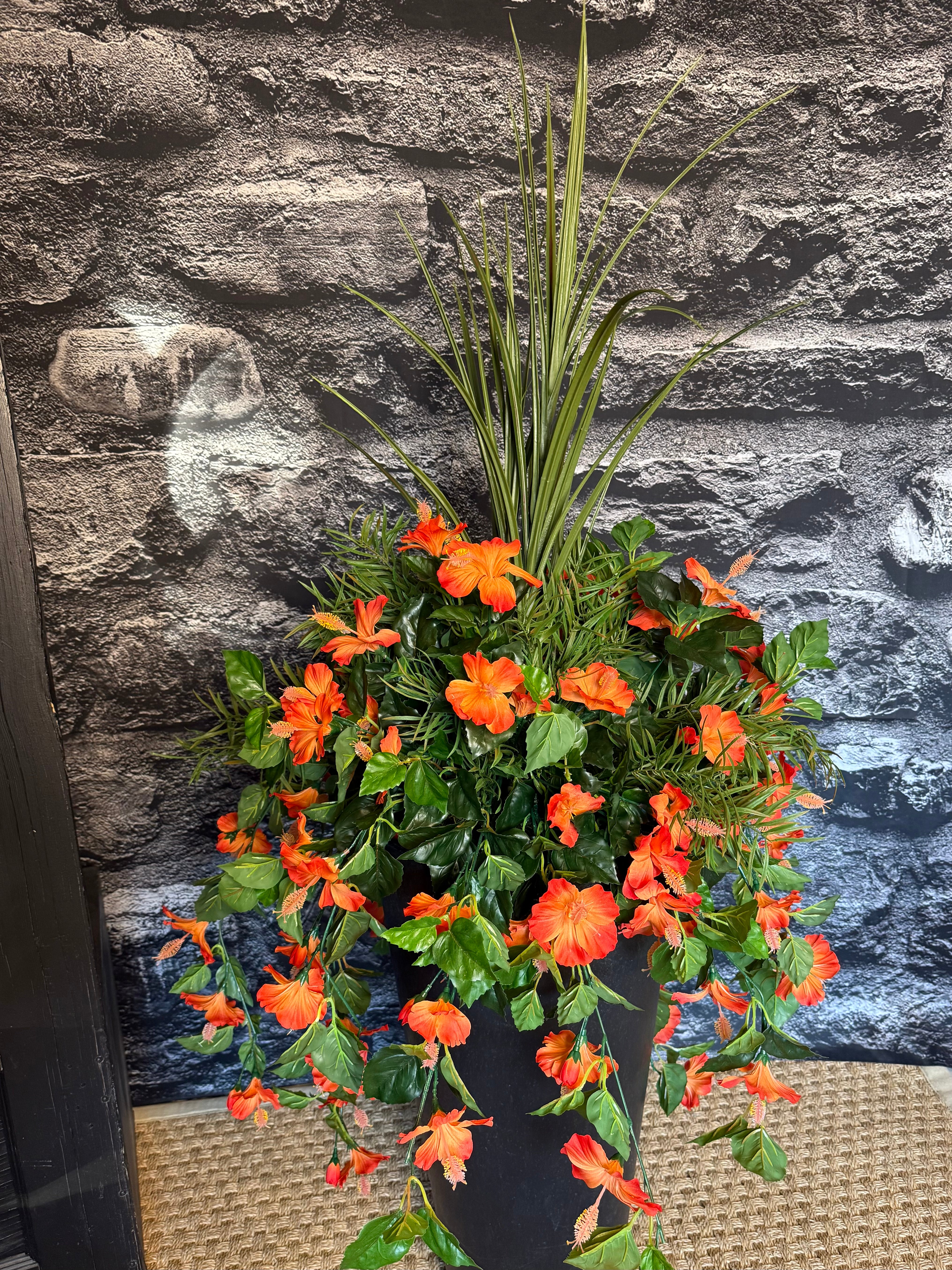 Coral Hibiscus drop in planter