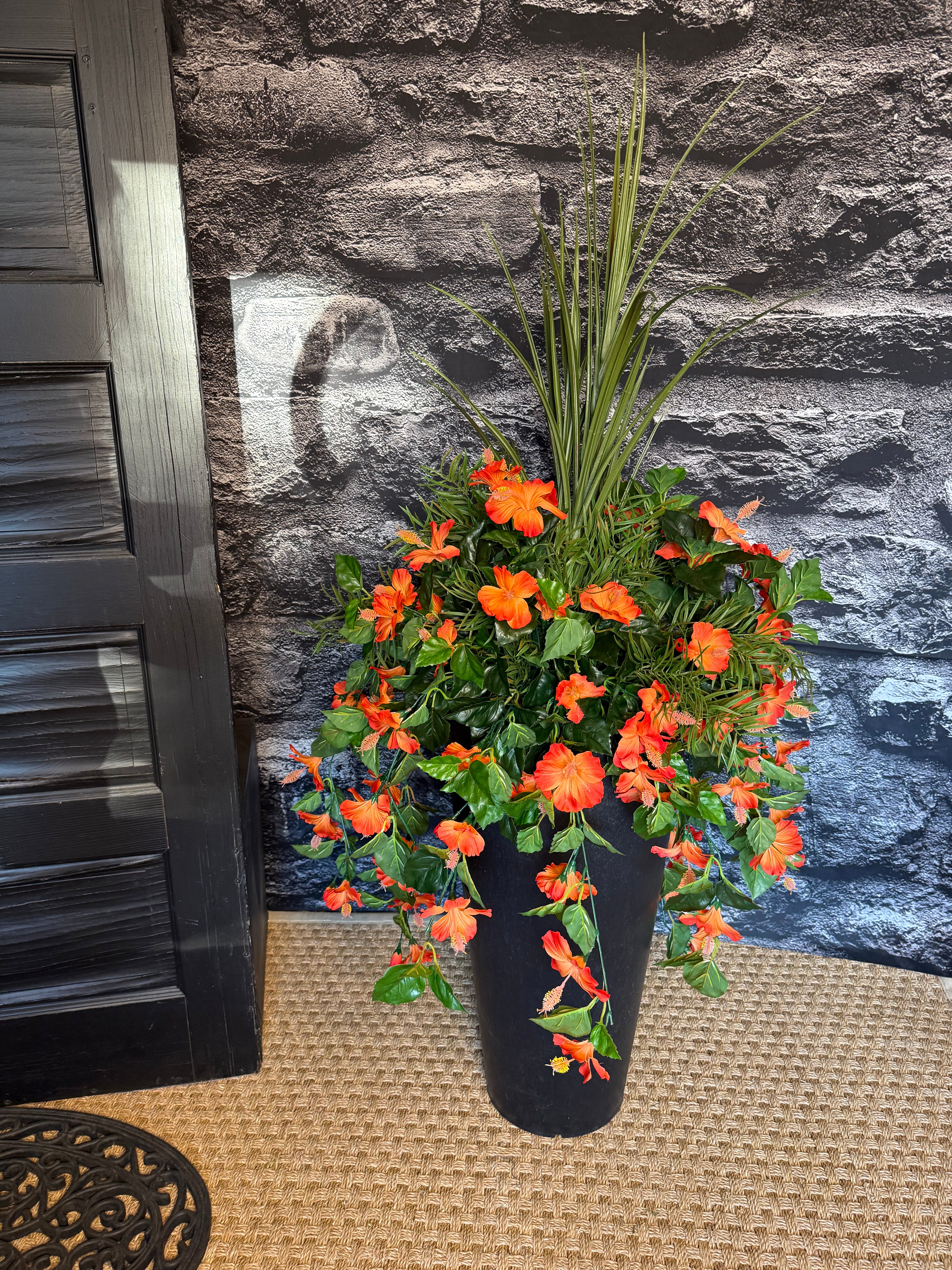 Coral Hibiscus drop in planter