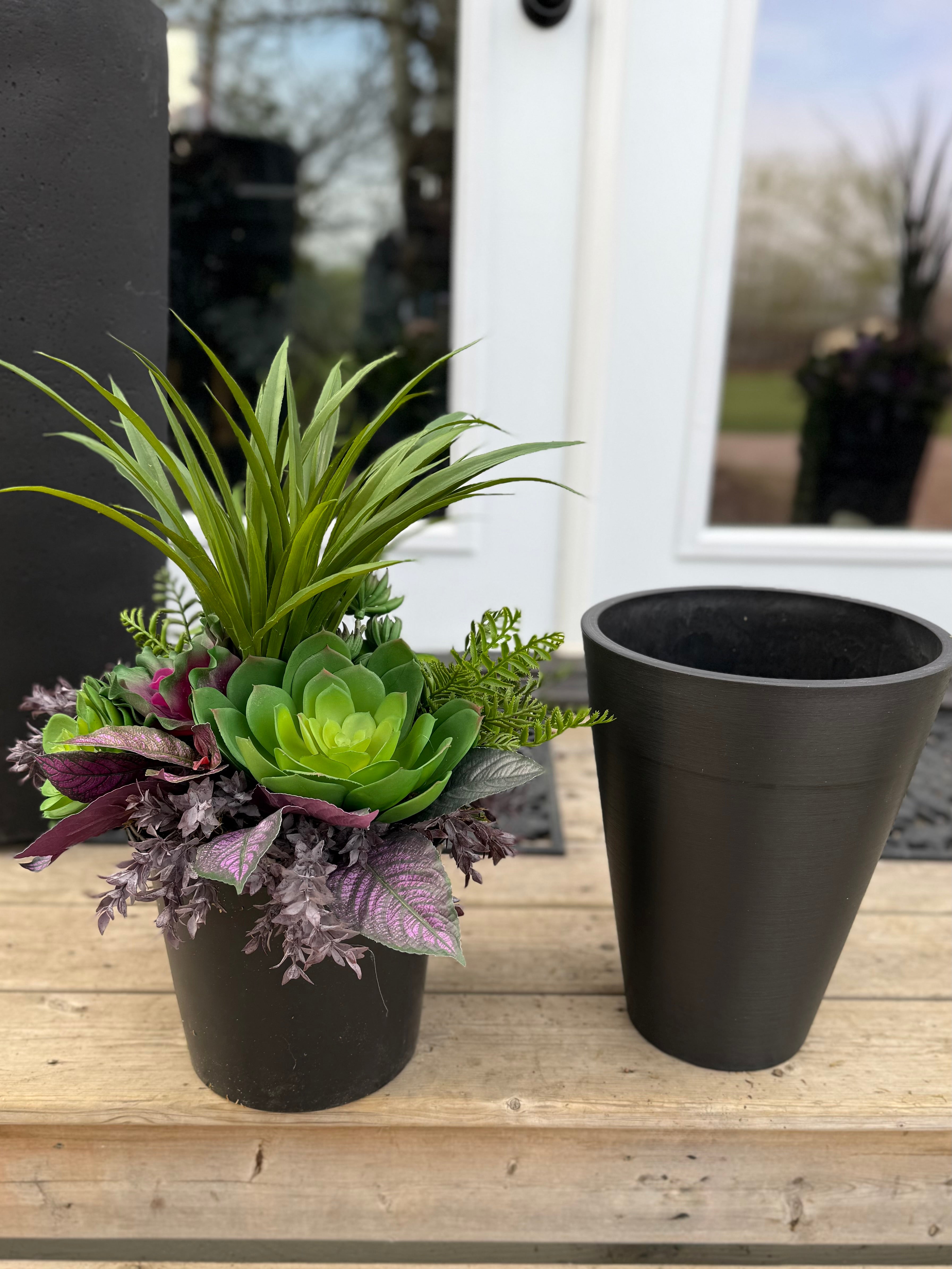 Small Succulent Insert | Optional Black Planter