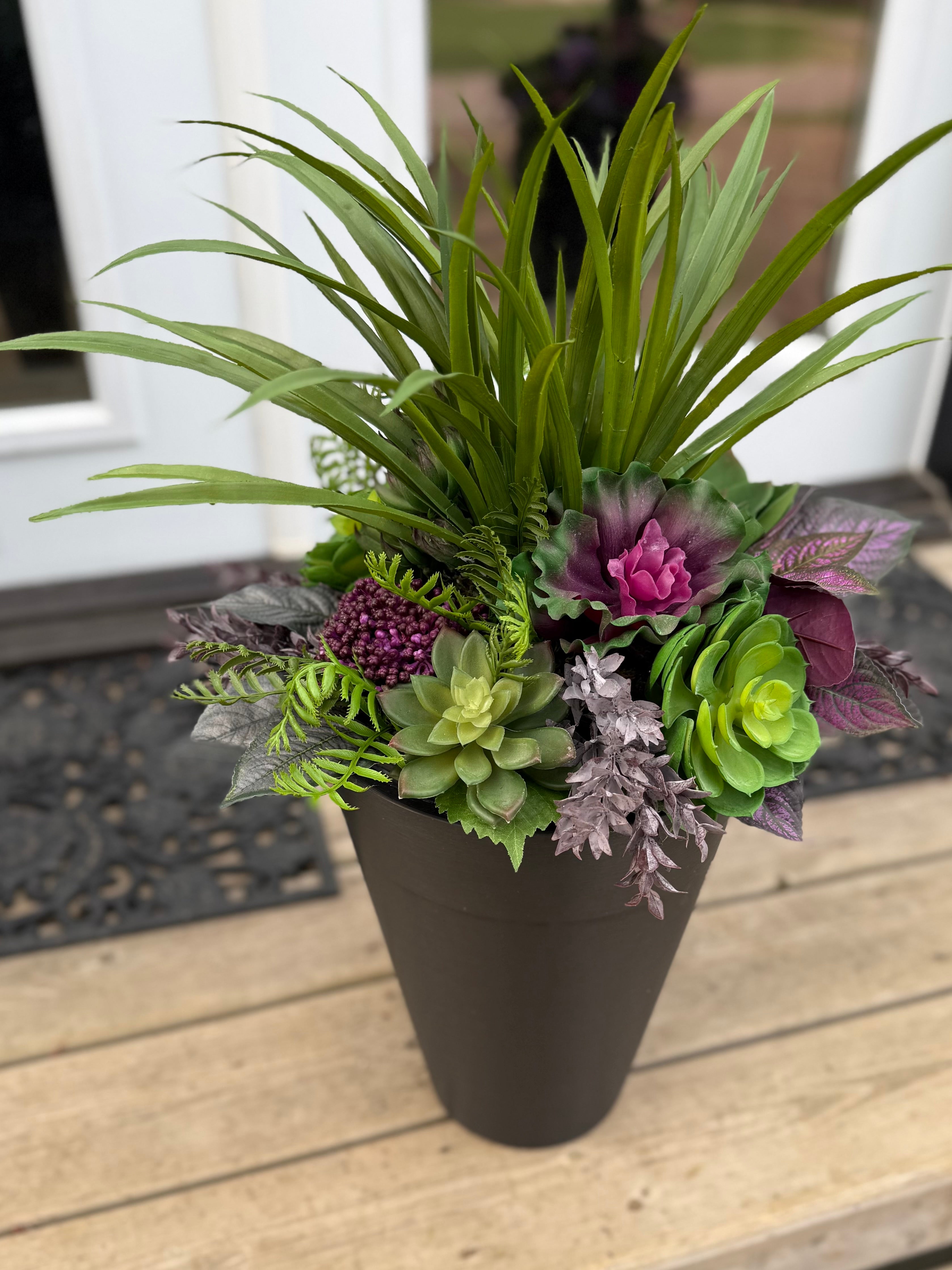 Small Succulent Insert | Optional Black Planter
