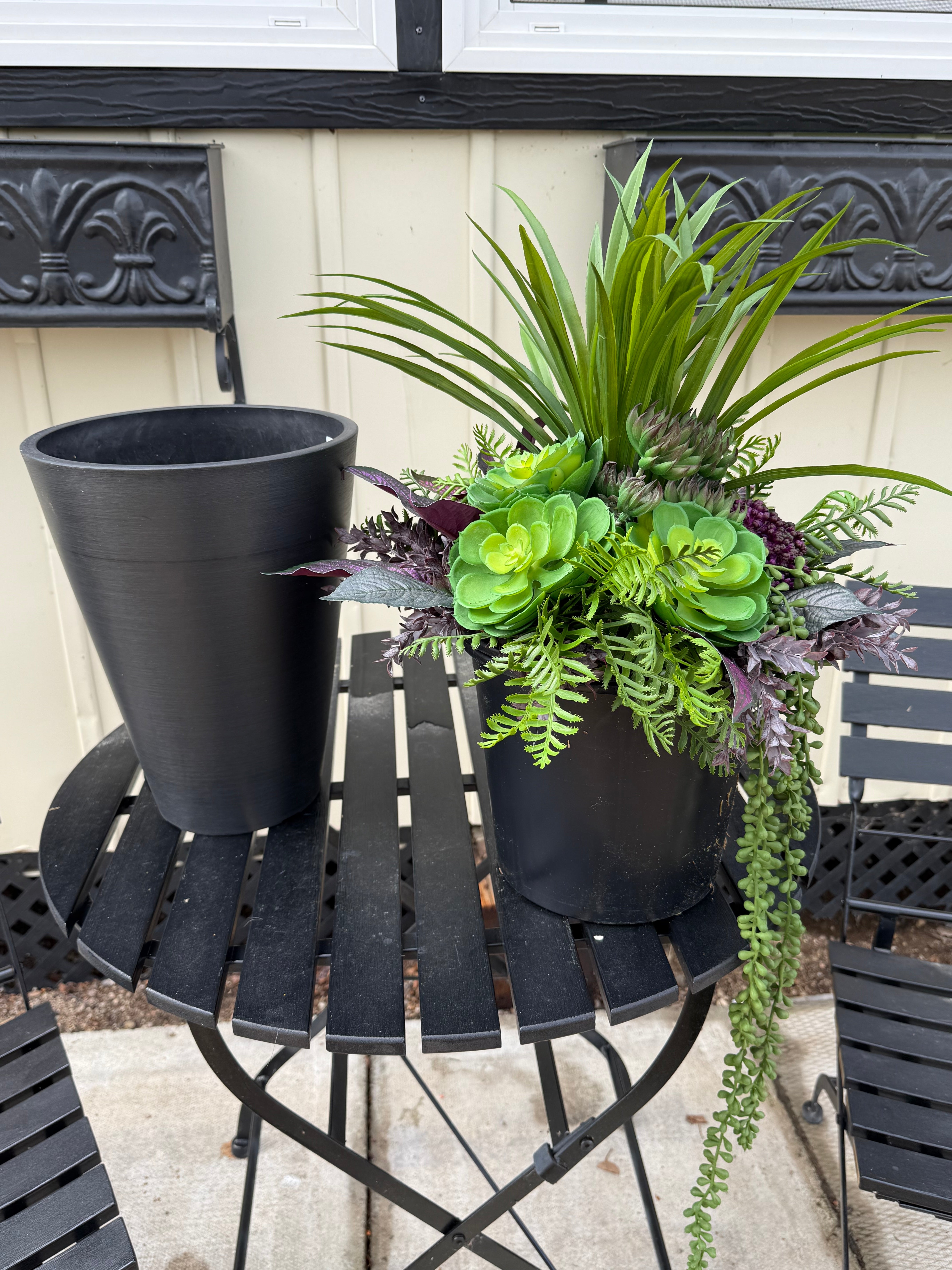 Small Succulent Insert | Optional Black Planter