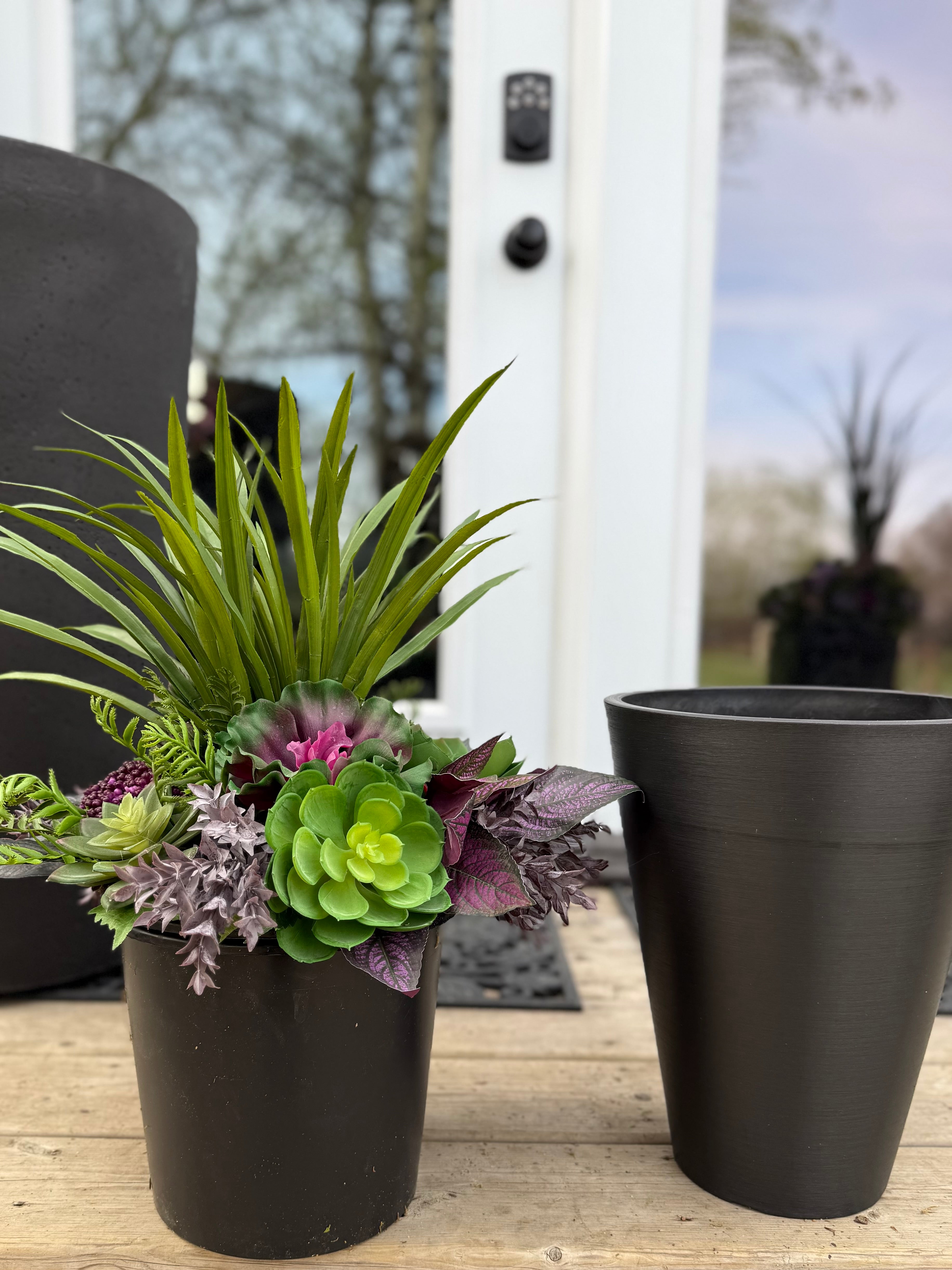 Small Succulent Insert | Optional Black Planter