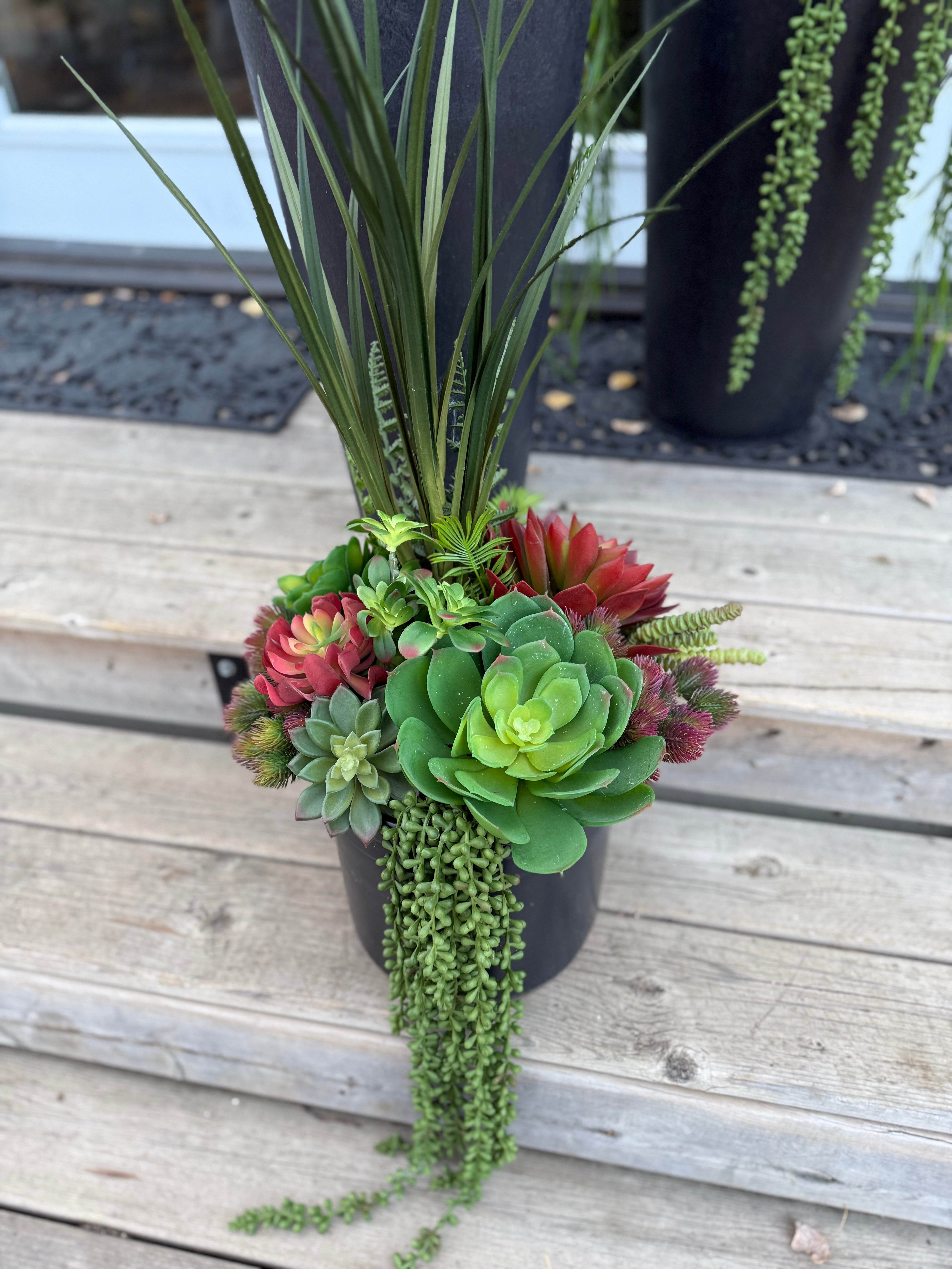 Set Of Two Succulent Inserts