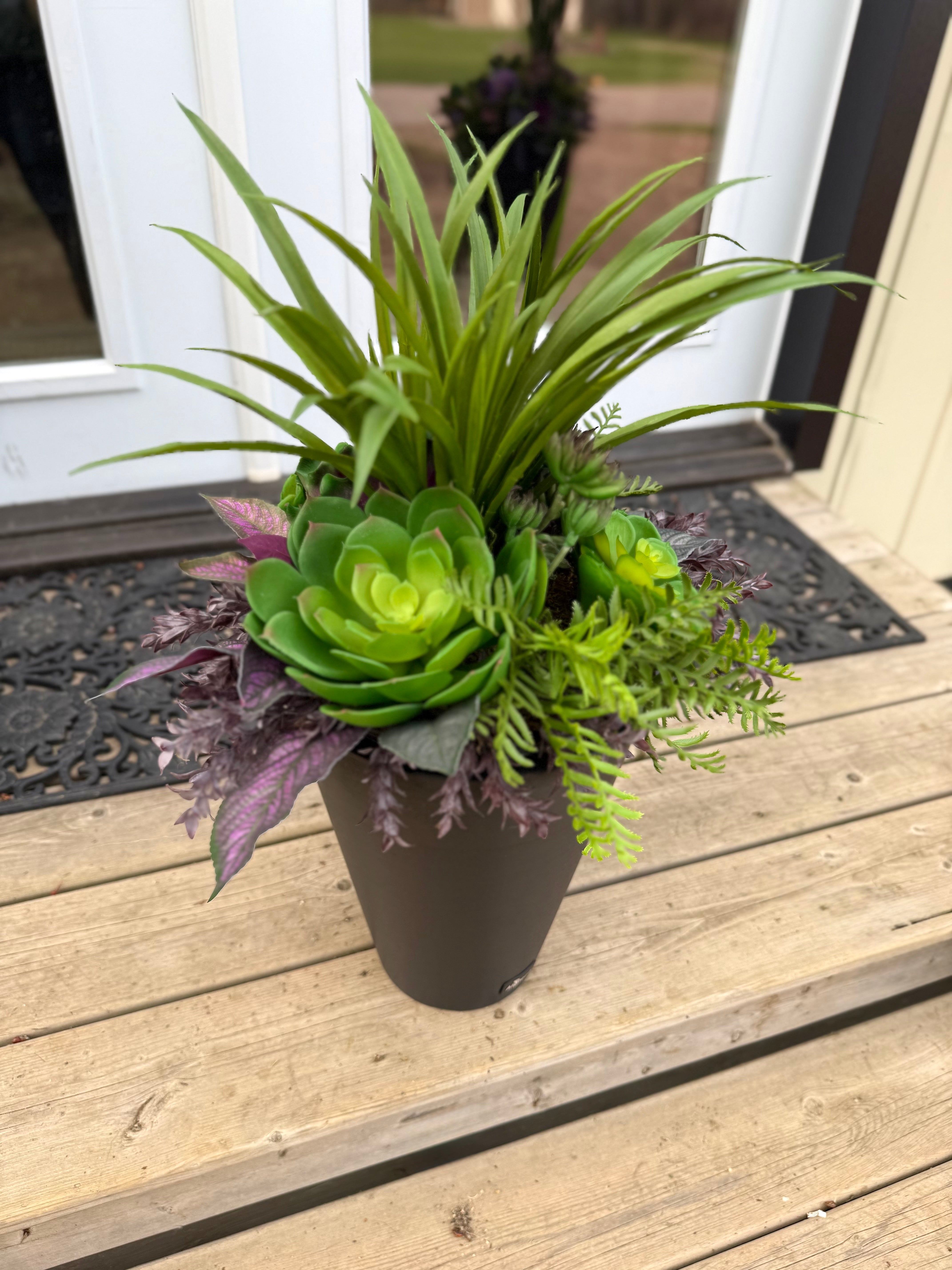 Small Succulent Insert | Optional Black Planter
