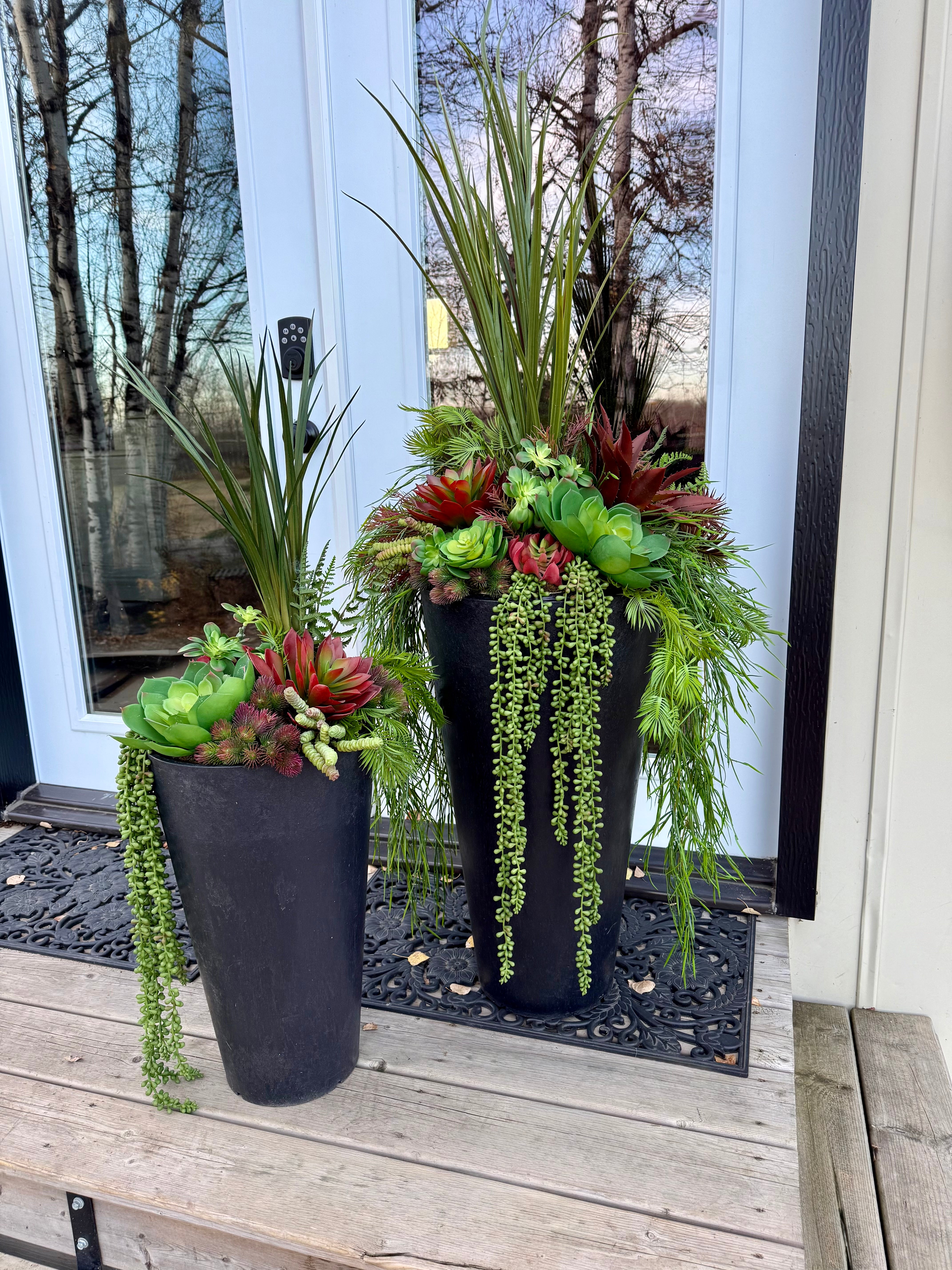 Set Of Two Succulent Inserts