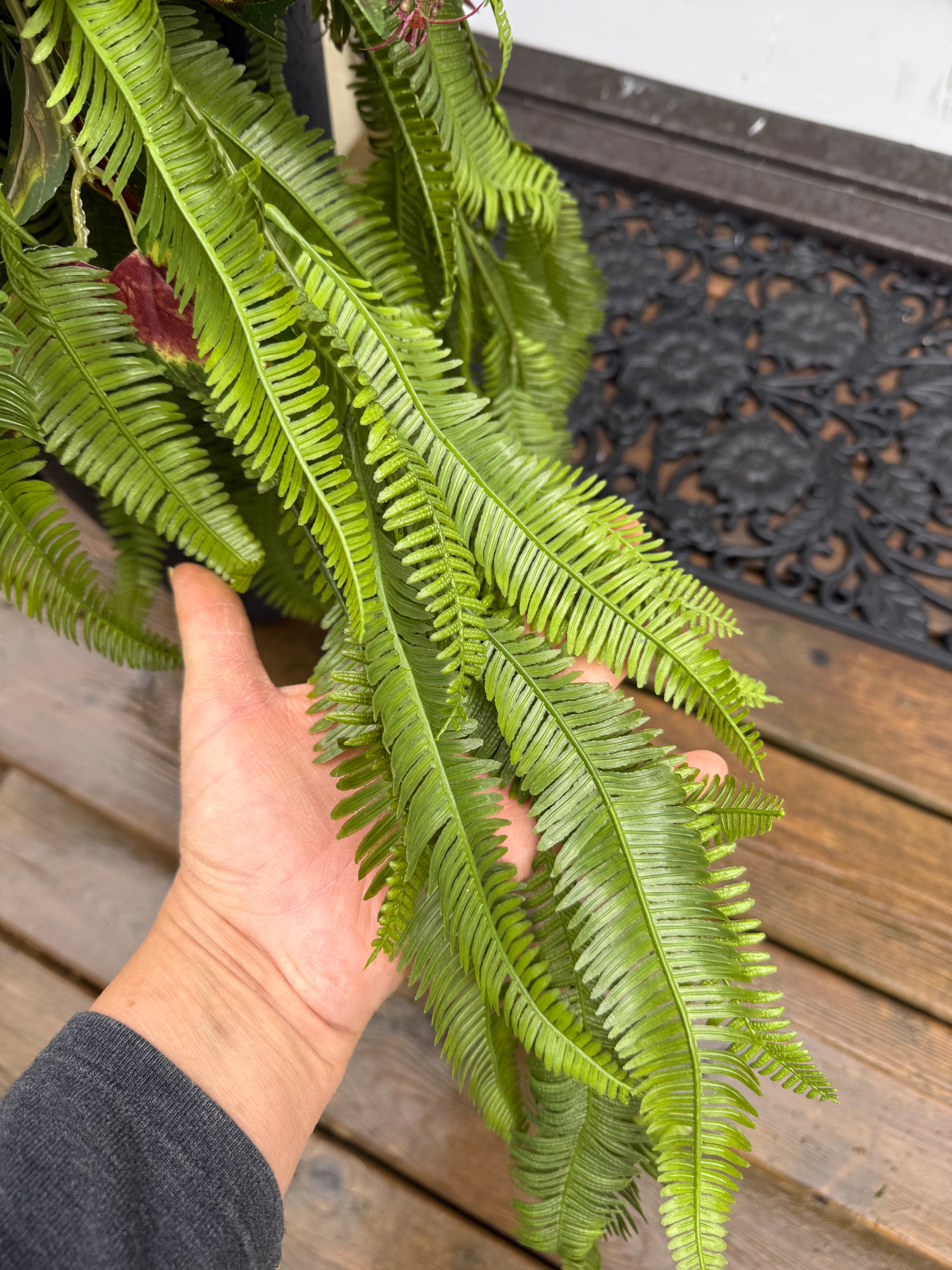 Foliage drop in