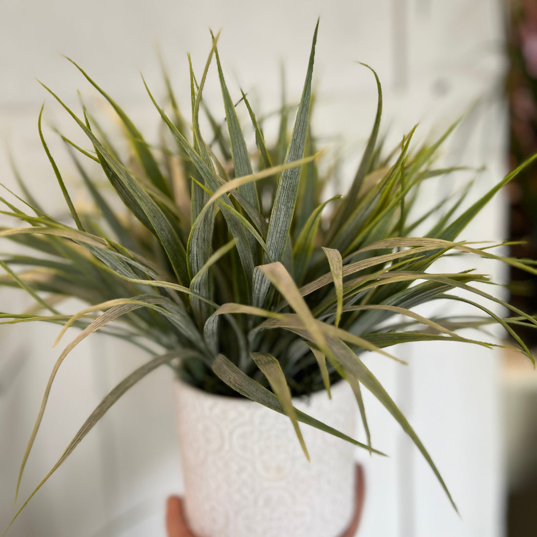 A hand holding a small round white ceramic container with artificial beach grass arranged in it.
