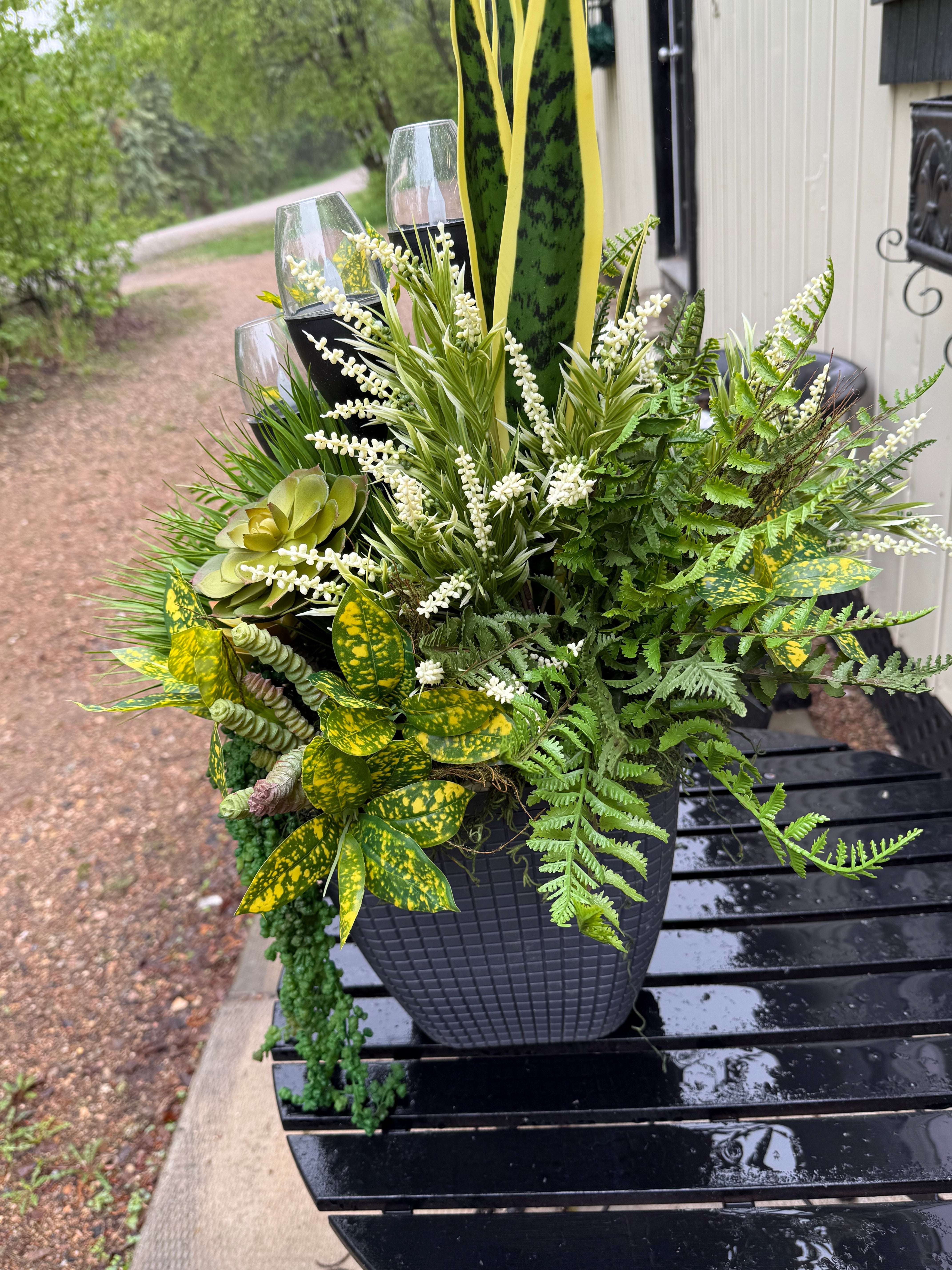 Yellow succulent drop in planter