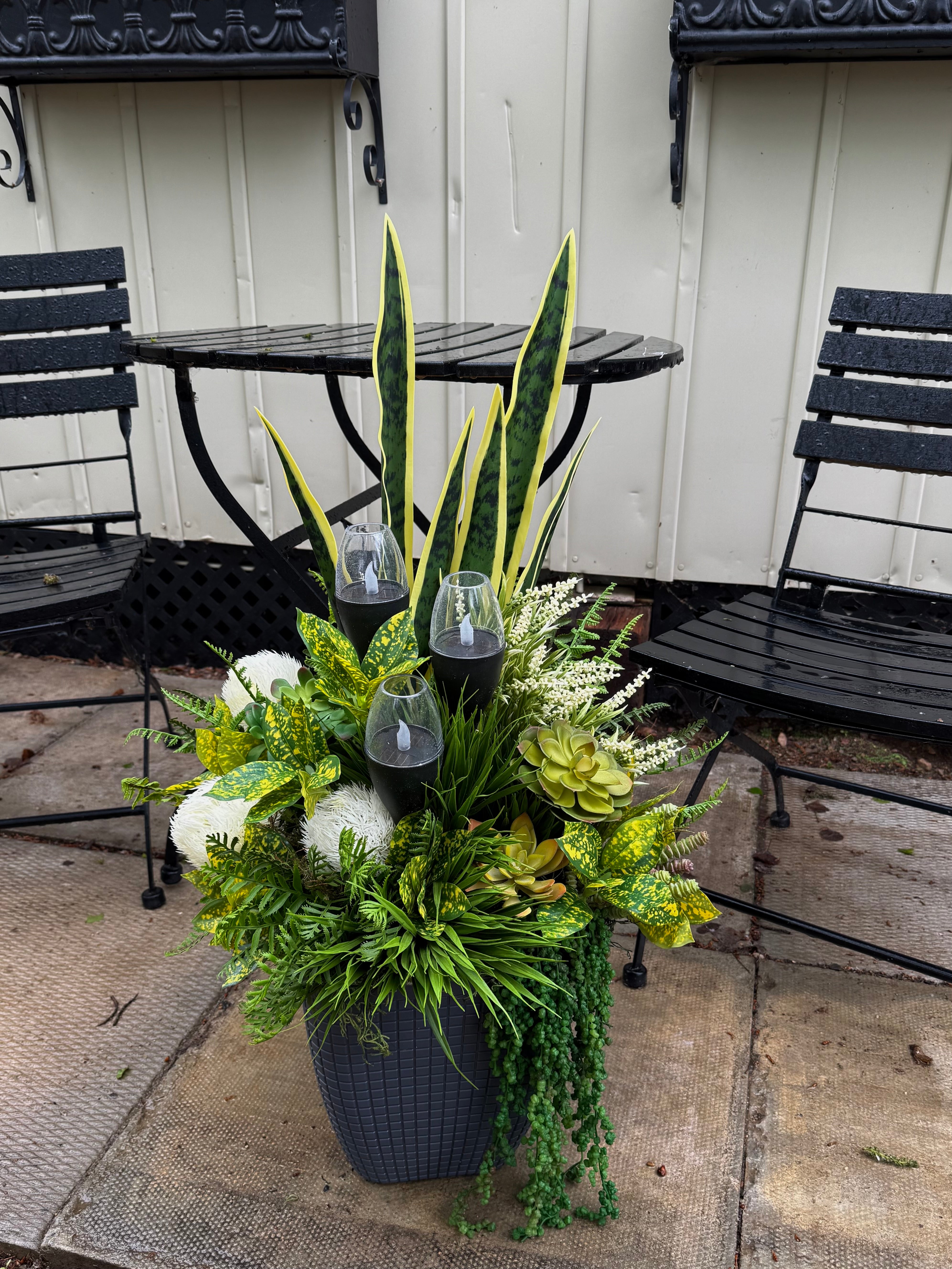 Yellow succulent drop in planter