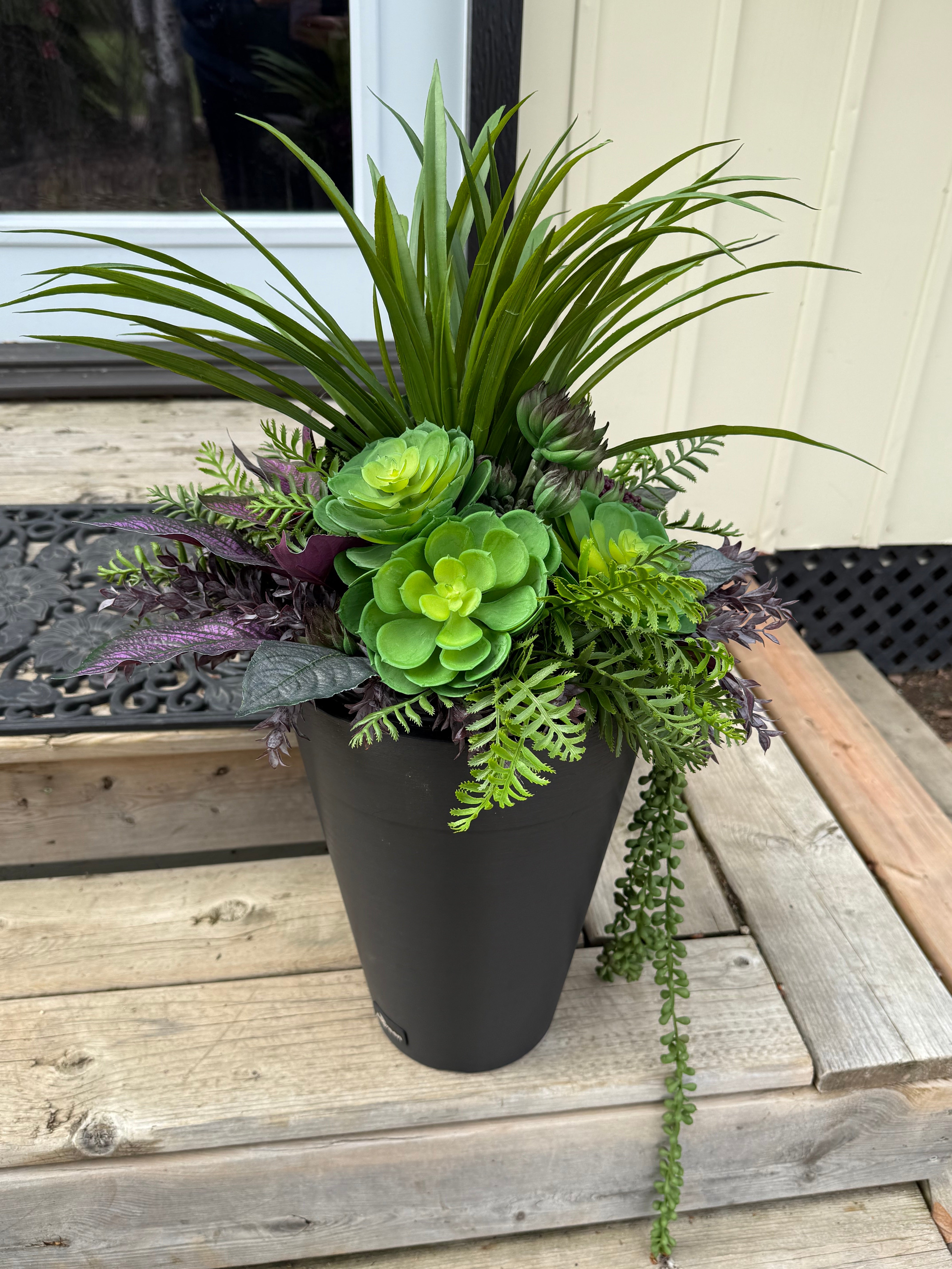 Small Succulent Insert | Optional Black Planter