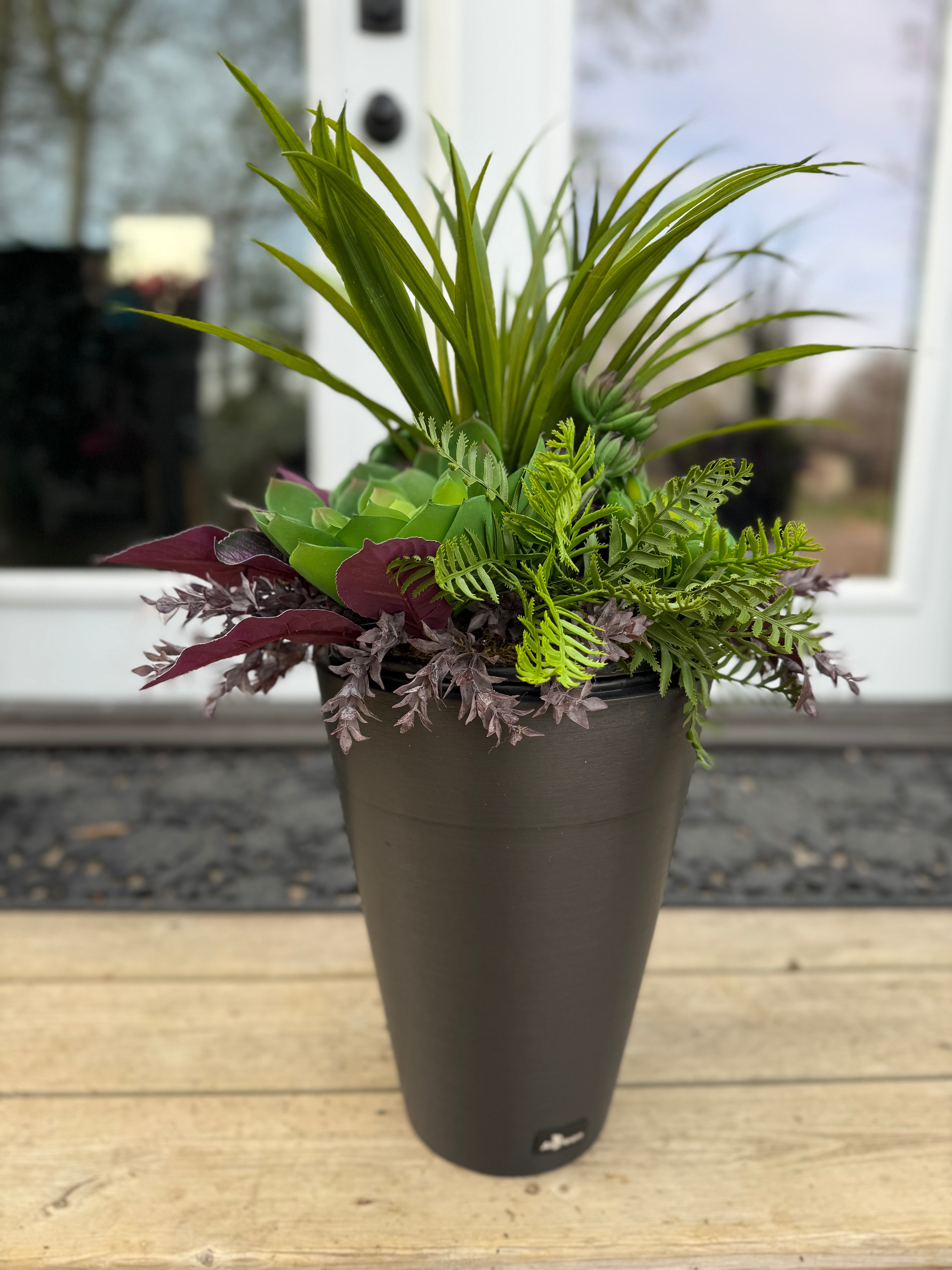 Small Succulent Insert | Optional Black Planter