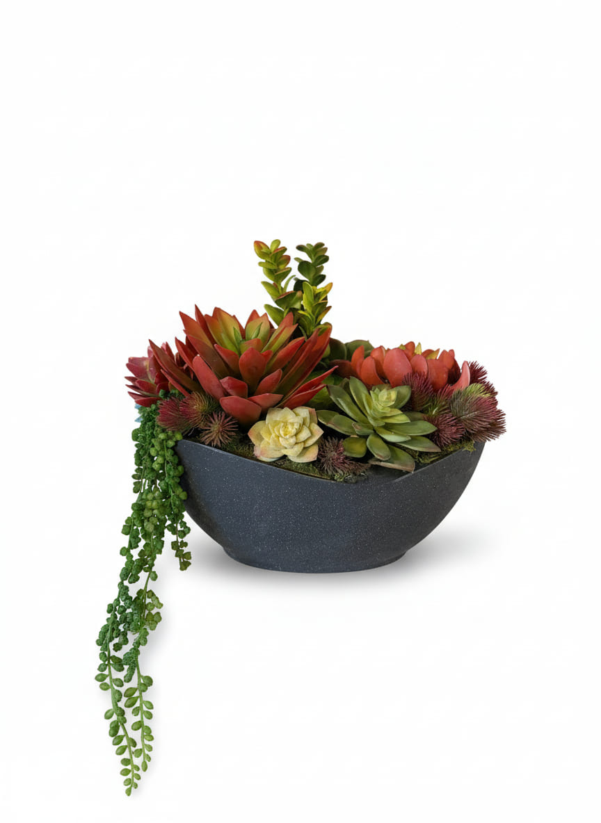 Red Succulent Arrangement