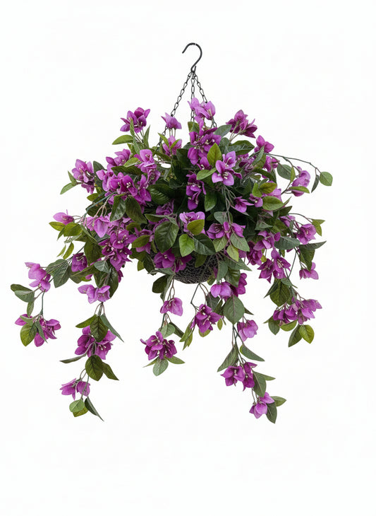 Purple flowers in a pot in front of a window with a stone wall background